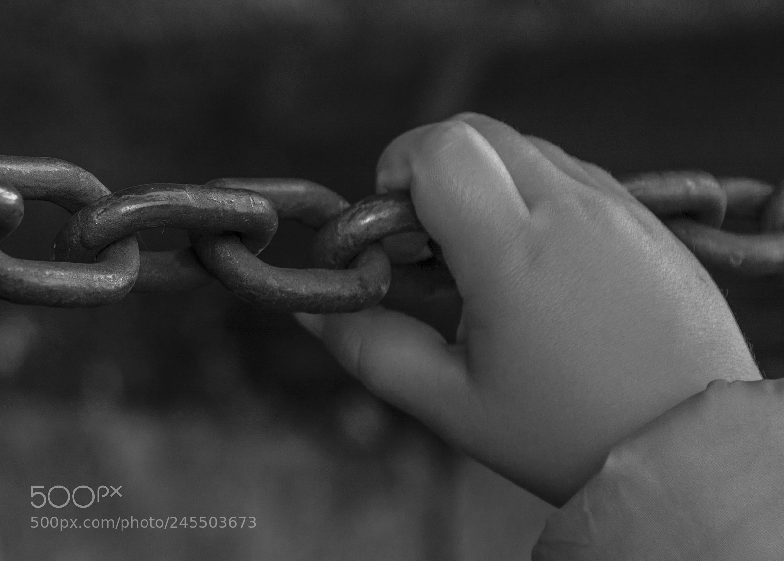 Nikon D7100 sample photo. Catene photography