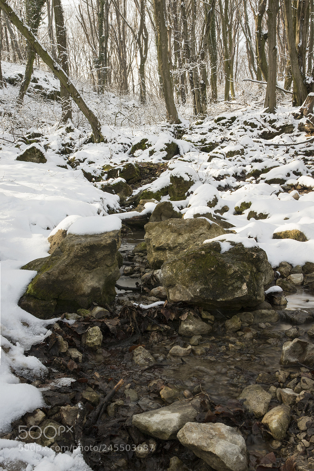 Canon EOS 7D Mark II sample photo. Fount photography