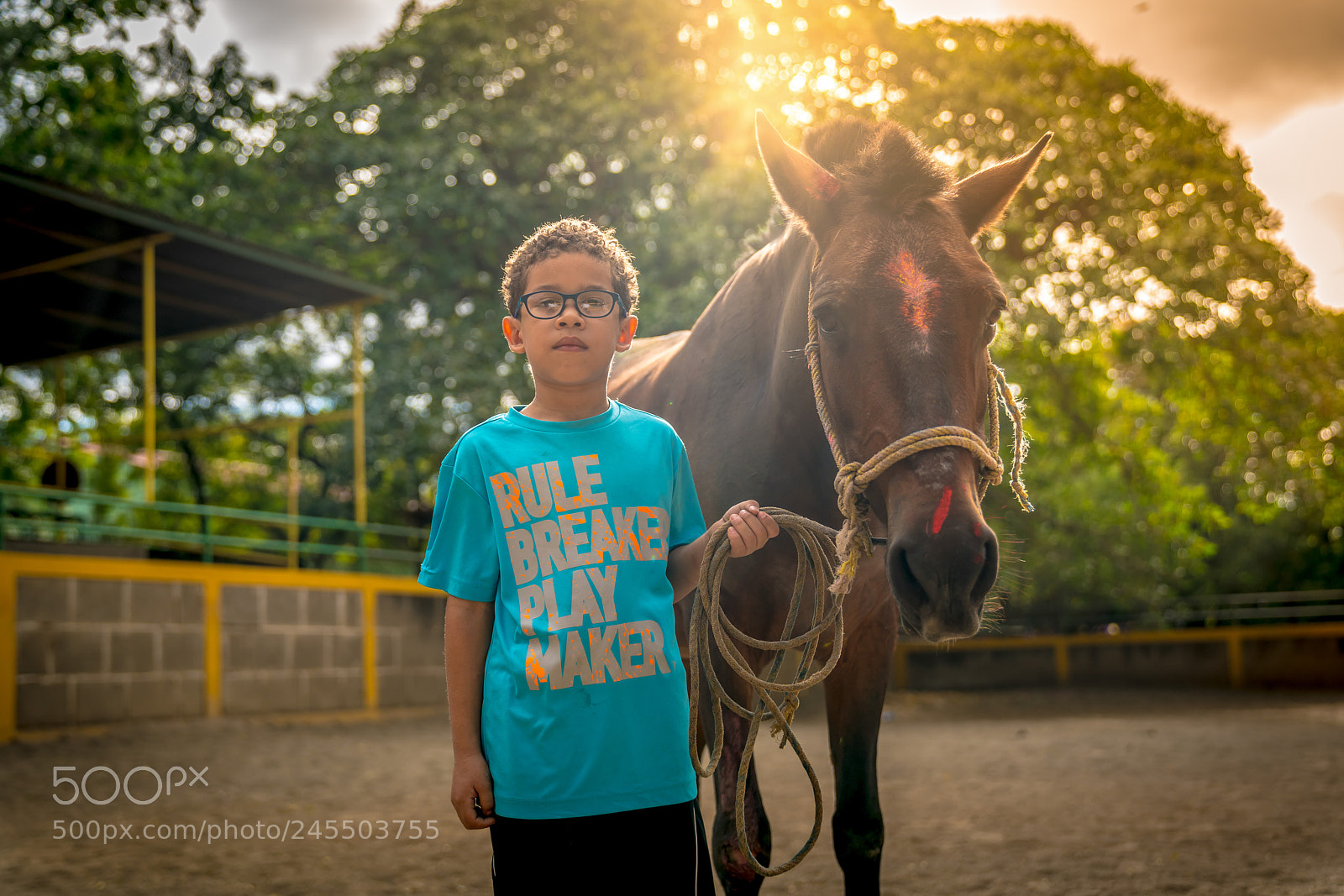 Sony a7R II sample photo. Equine therapy photography