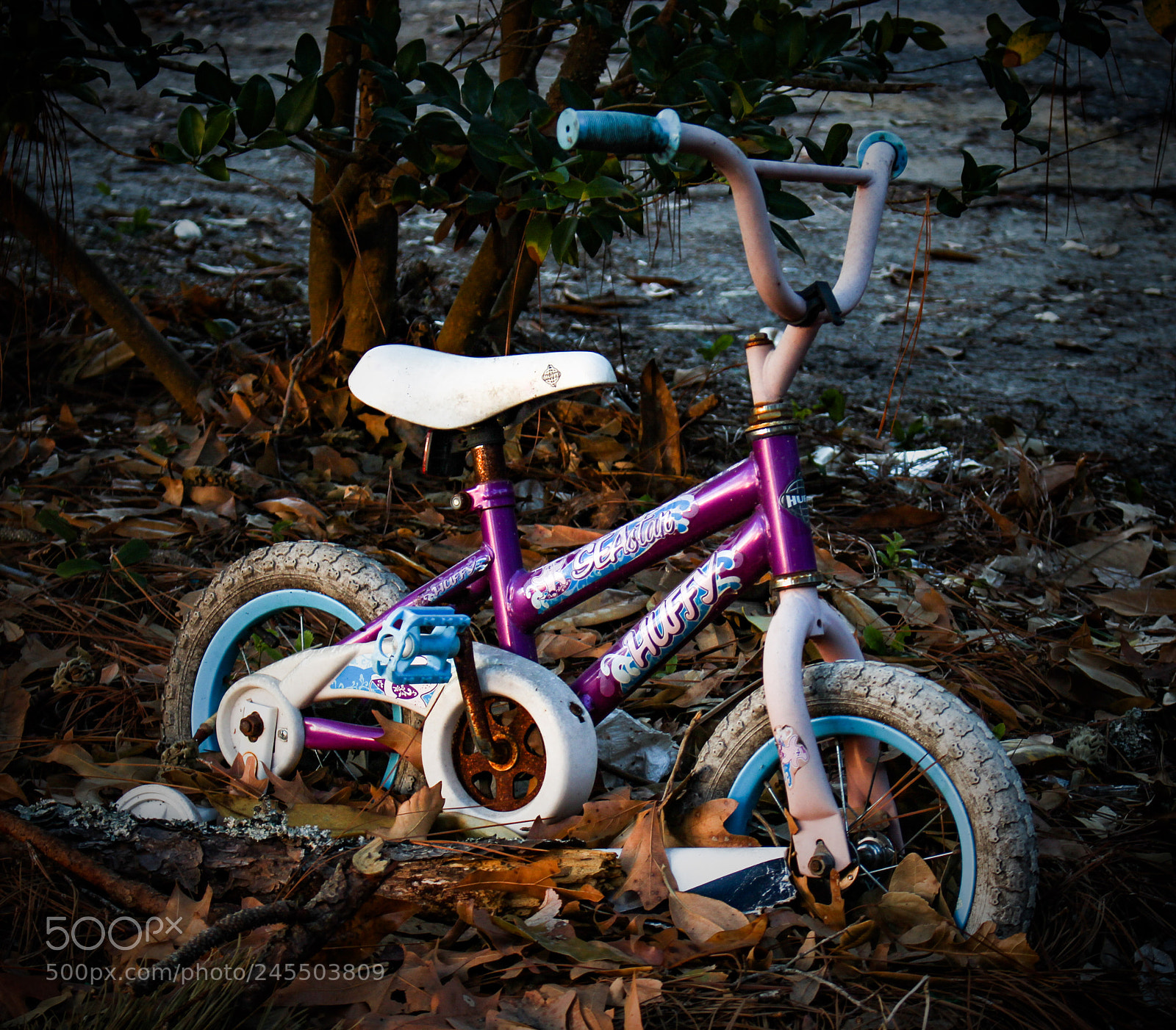 Canon EOS 700D (EOS Rebel T5i / EOS Kiss X7i) sample photo. Untitled photography