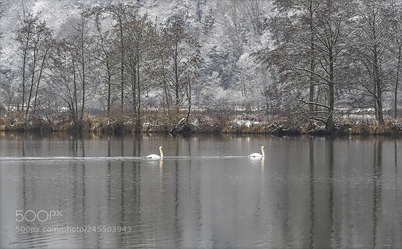 Olympus OM-D E-M1 sample photo. Winter scene photography