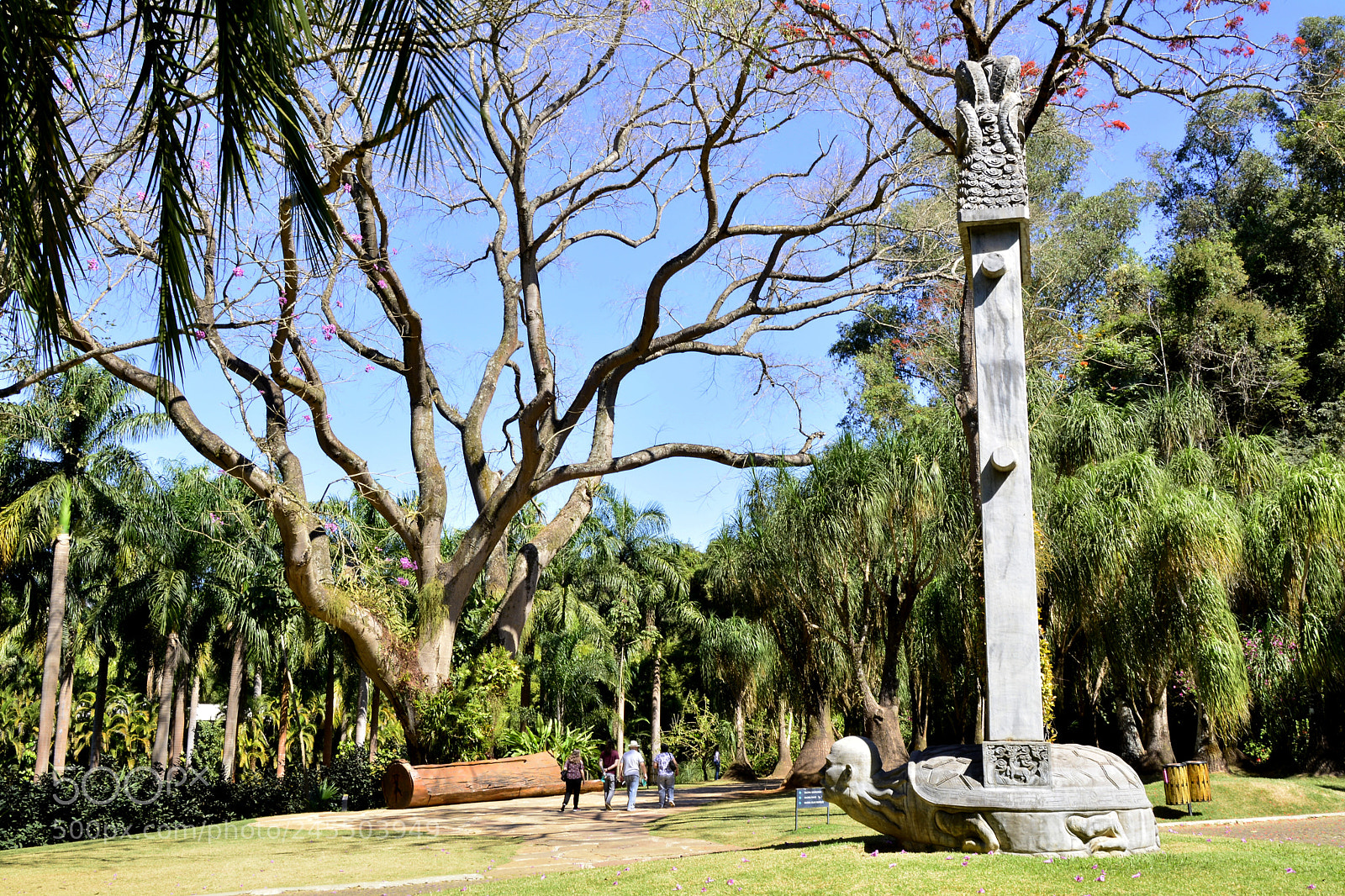 Nikon D5200 sample photo. Tamboril de inhotim e photography