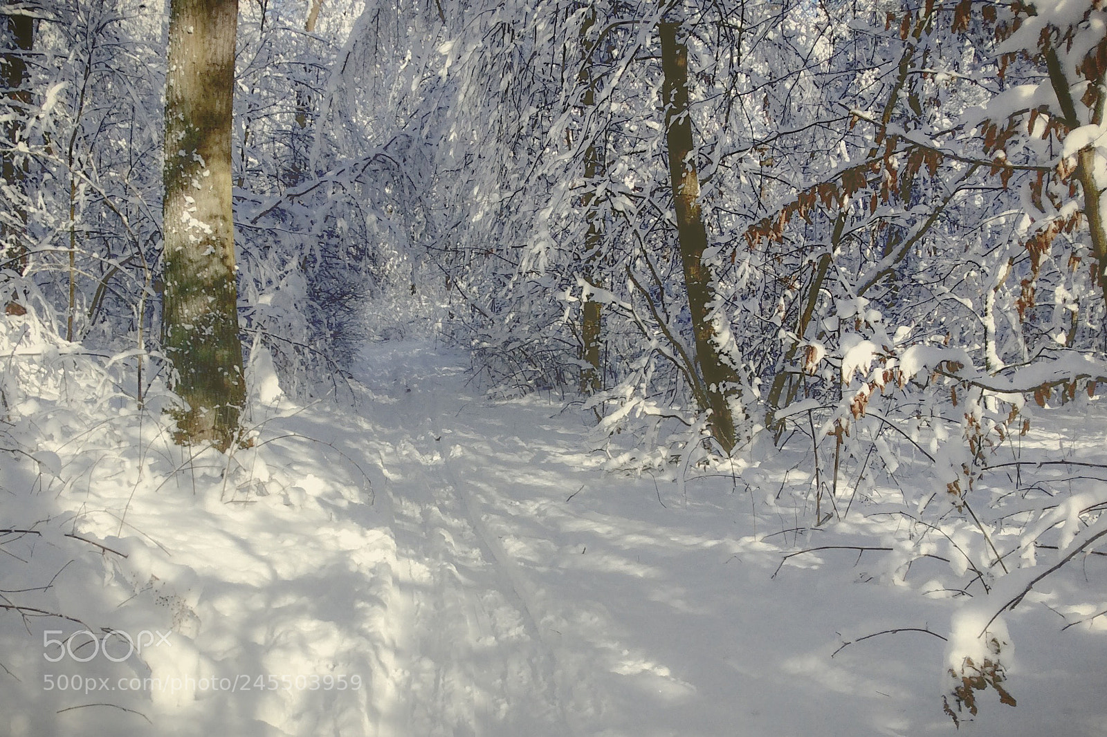 Apple iPad Air sample photo. Ski track. photography