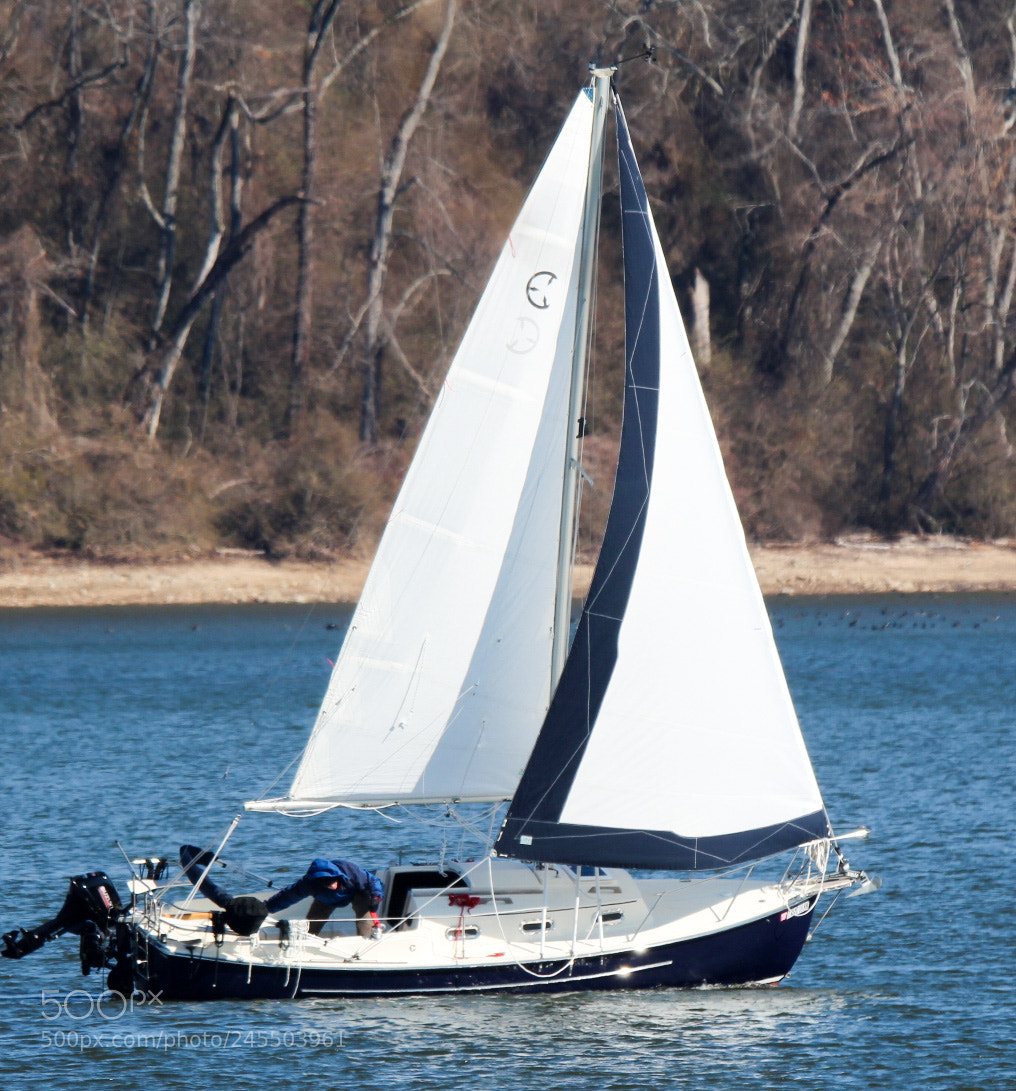 Canon EOS 1300D (EOS Rebel T6 / EOS Kiss X80) sample photo. Sailing photography
