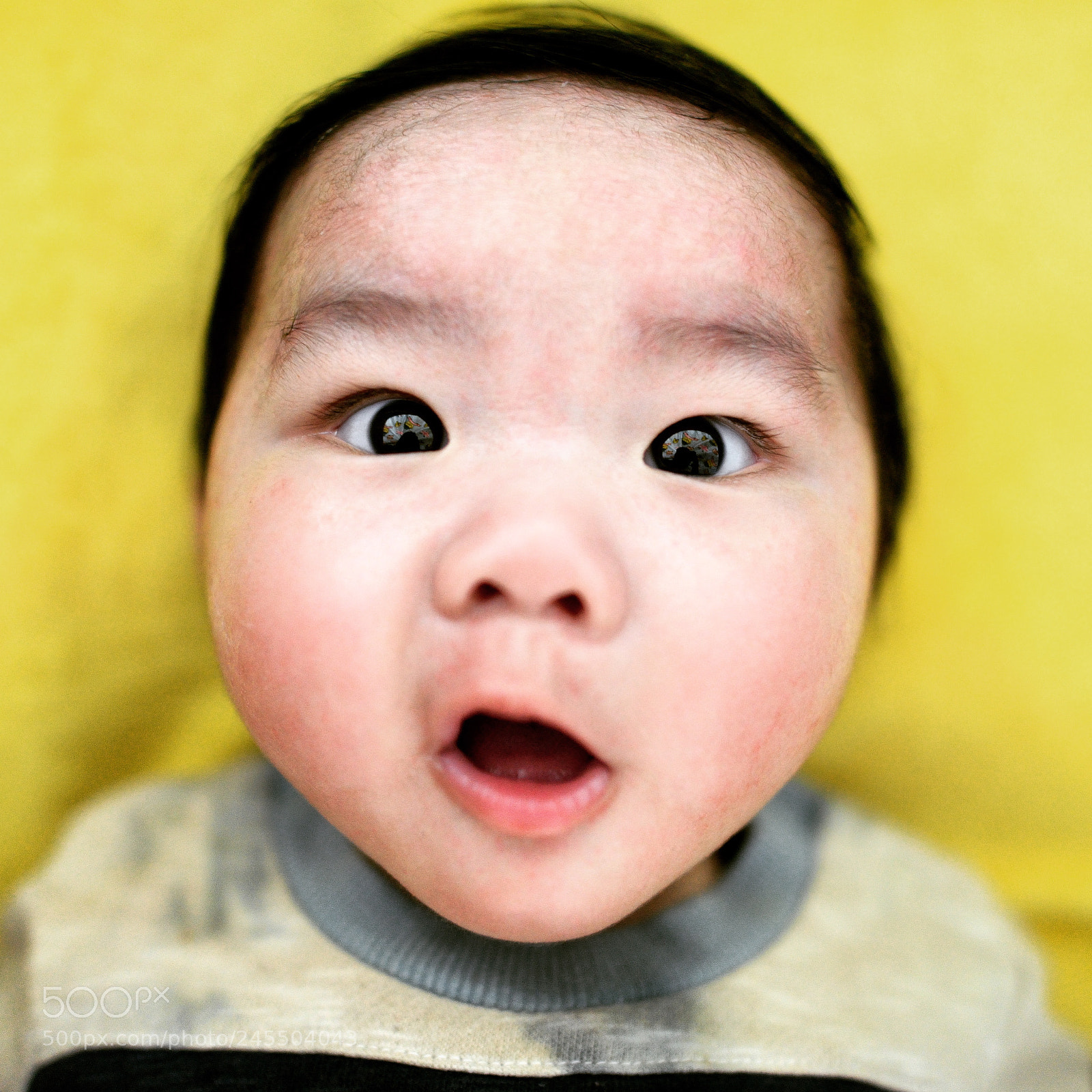 Nikon D800 sample photo. Untitled photography