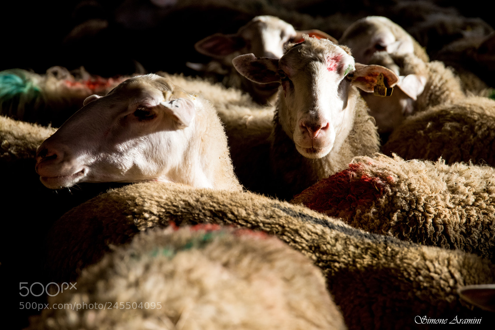 Nikon D810 sample photo. Lights and details photography