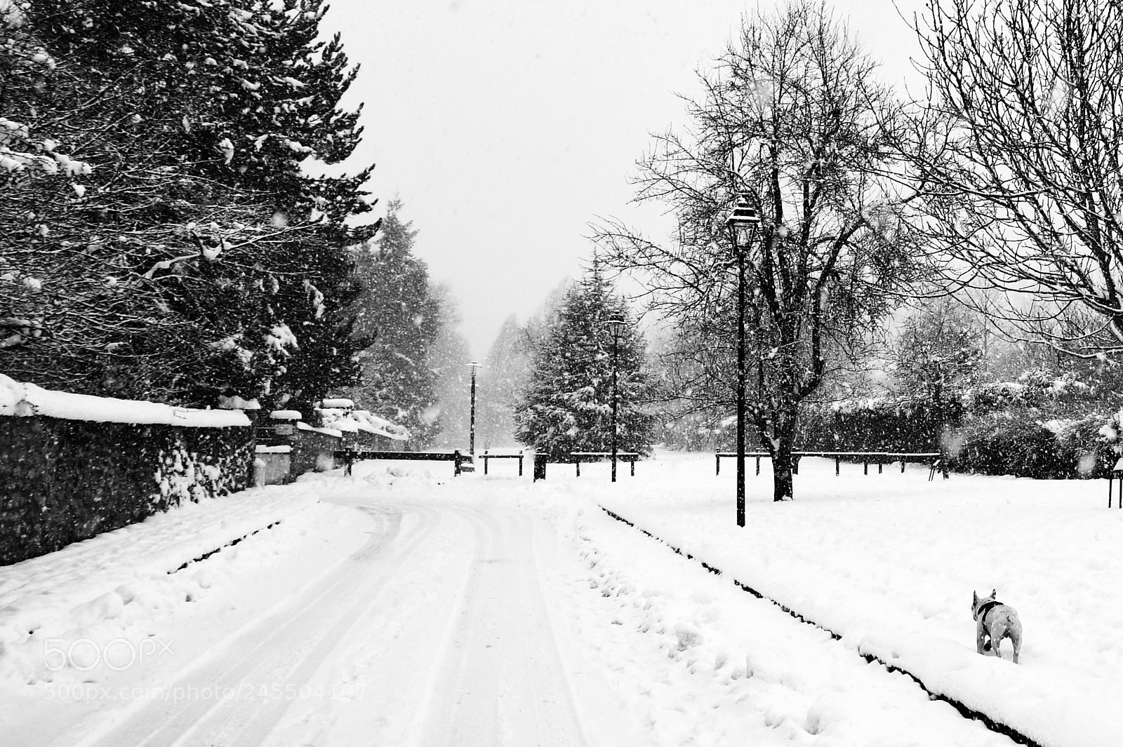 Nikon D7500 sample photo. Jo d'hiver, preuve de photography