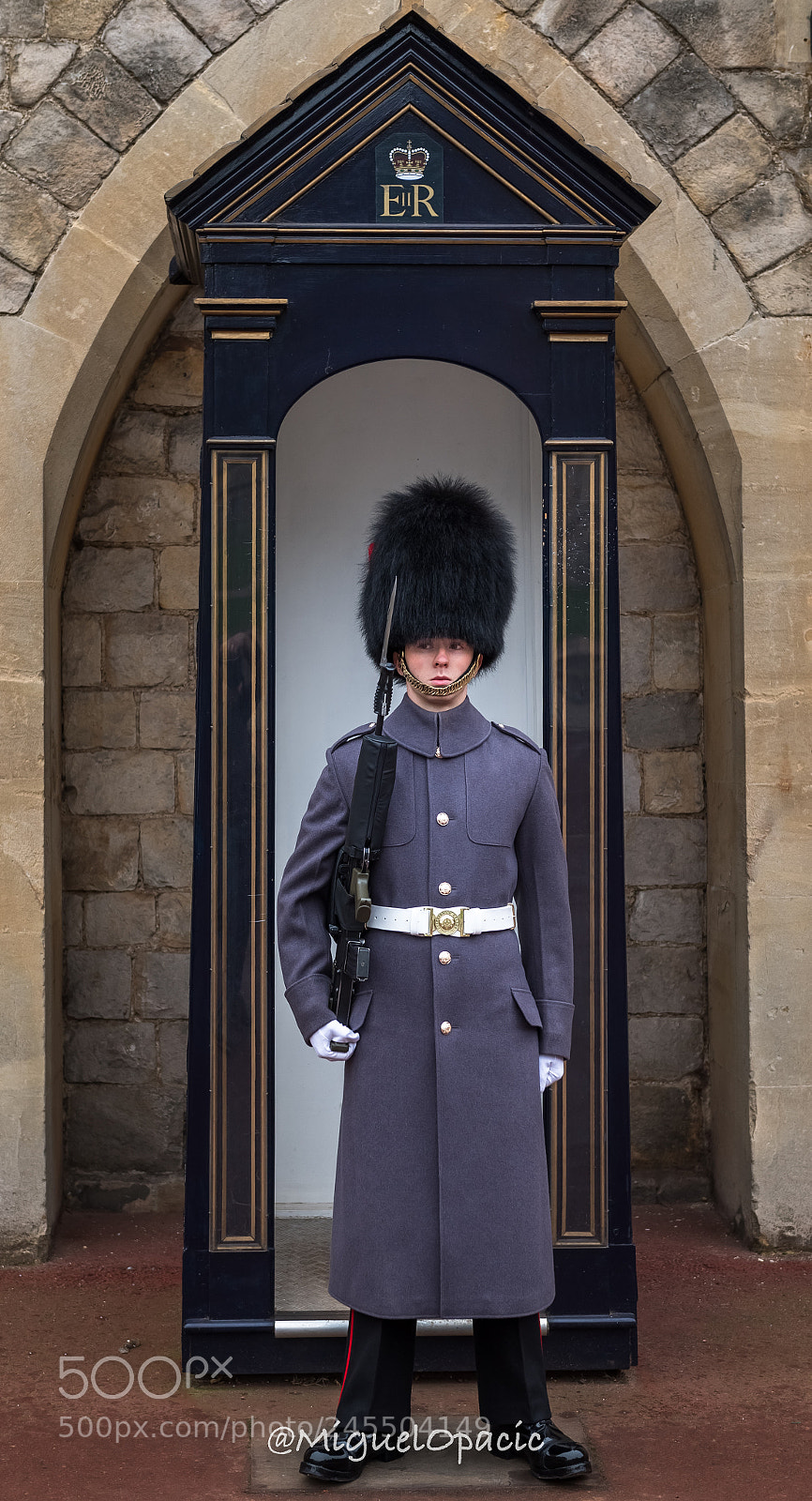 Nikon D5 sample photo. Royal guard photography