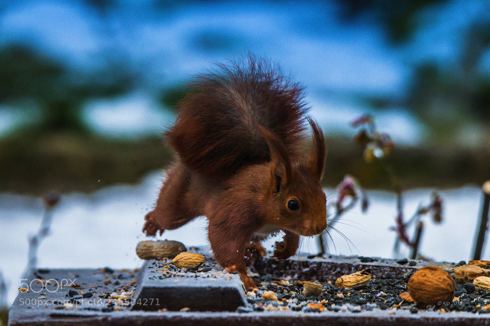 Nikon D850 sample photo. _8a07081-2.jpg photography
