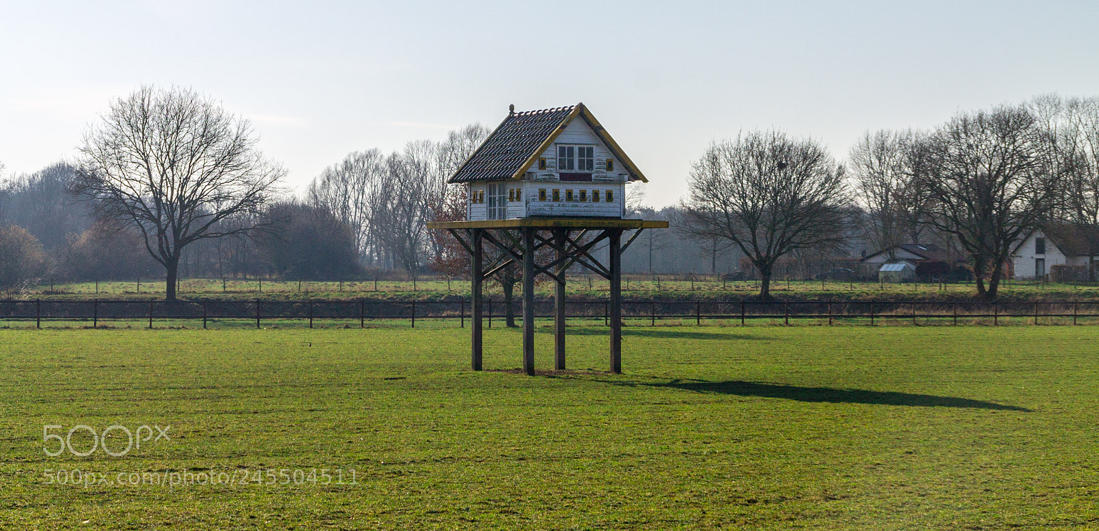 Canon EOS 1100D (EOS Rebel T3 / EOS Kiss X50) sample photo. Birdhouse photography