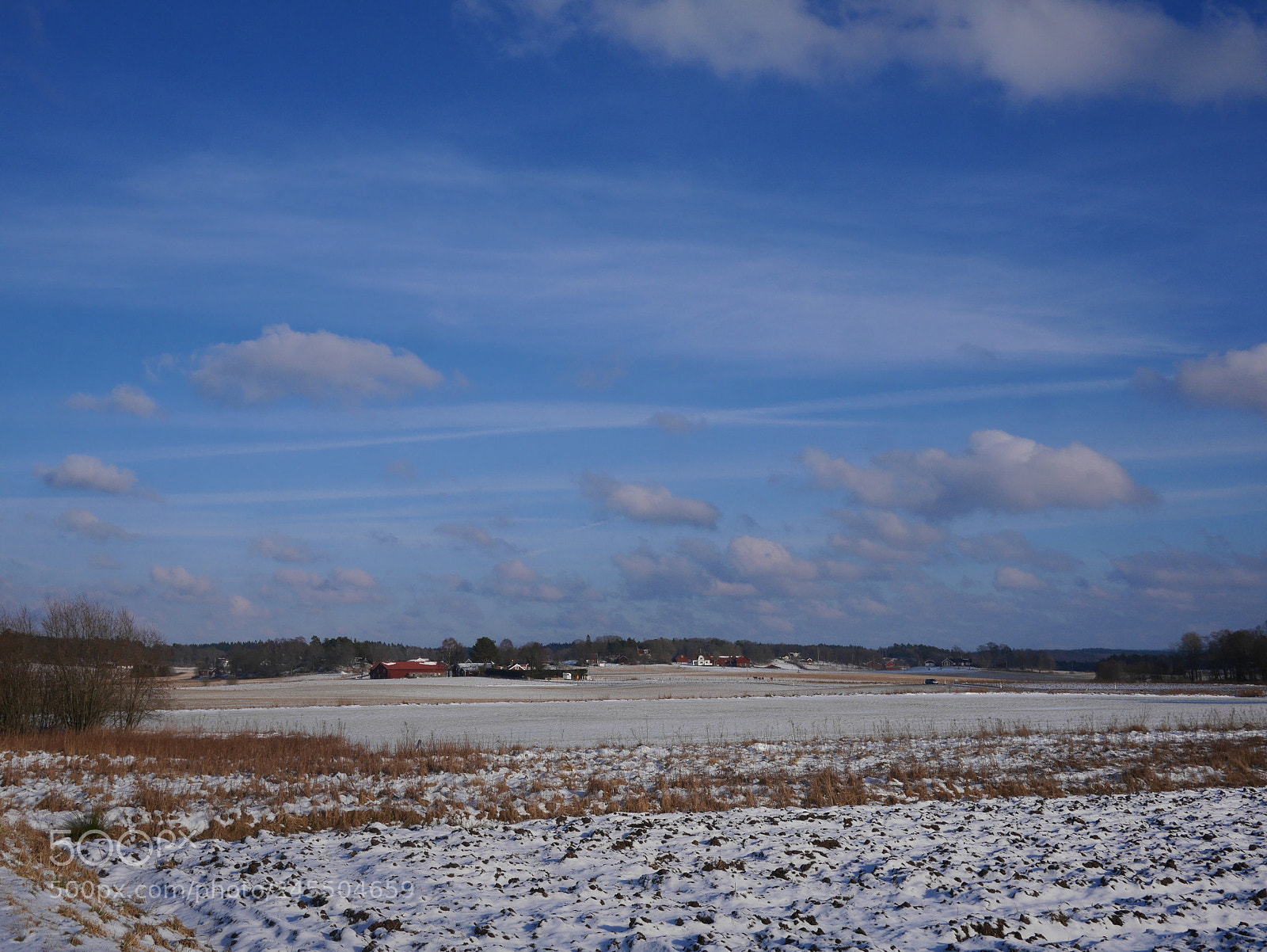 Panasonic Lumix DMC-GM1 sample photo. Winter field photography