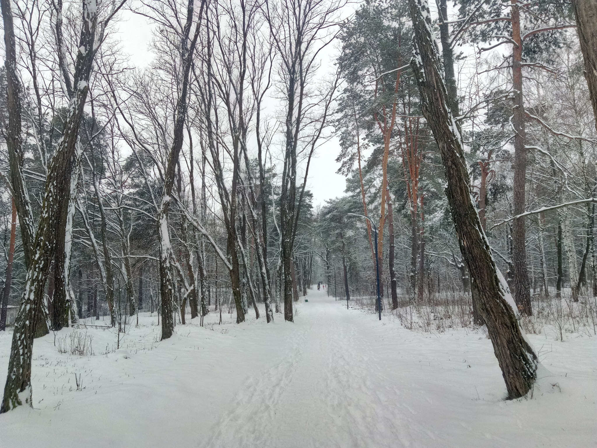 Meizu U20 sample photo