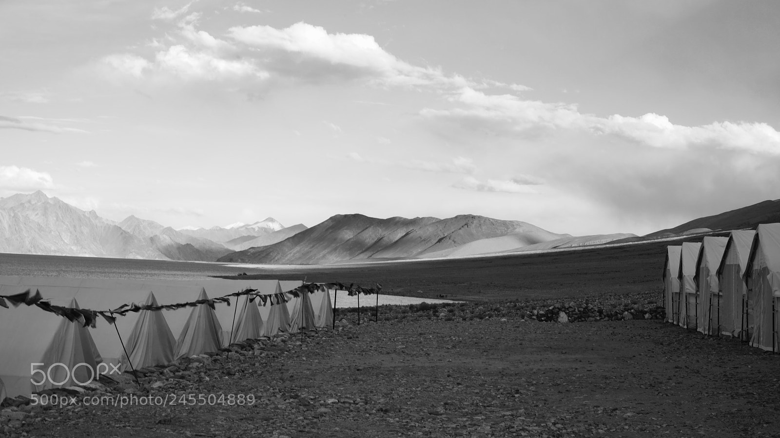Sony a99 II sample photo. Untitled photography
