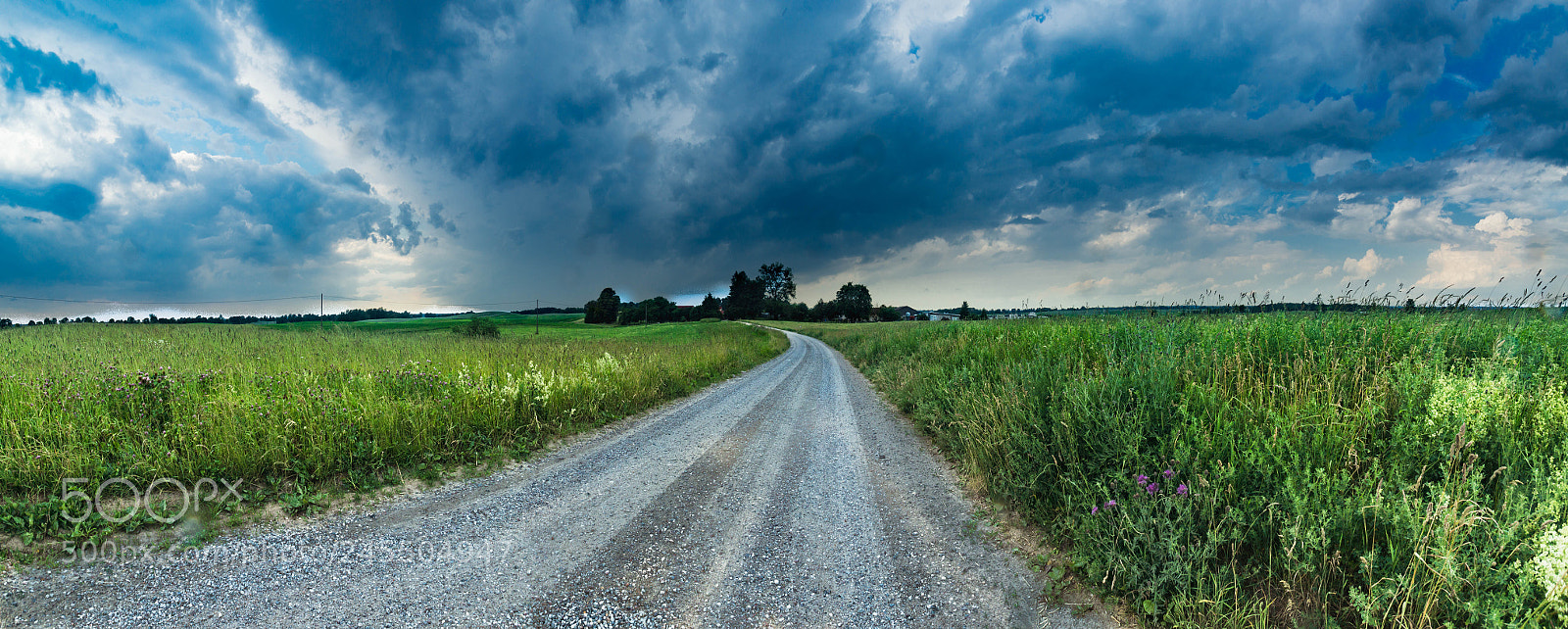 Sony SLT-A77 sample photo. Into the storm photography