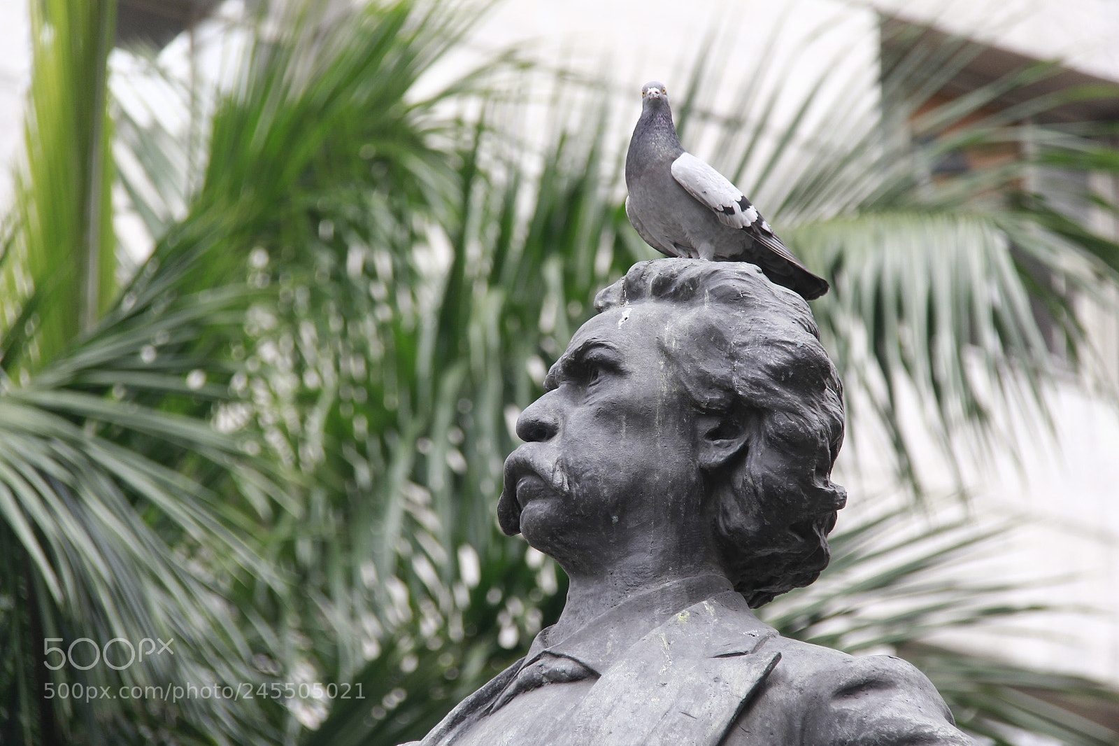 Canon EF-S 18-200mm F3.5-5.6 IS sample photo. Mg photography