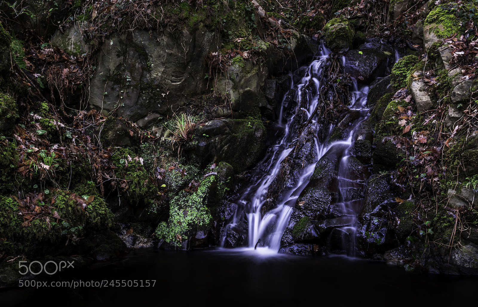 Nikon D810 sample photo. Leonardo's waterfalls photography