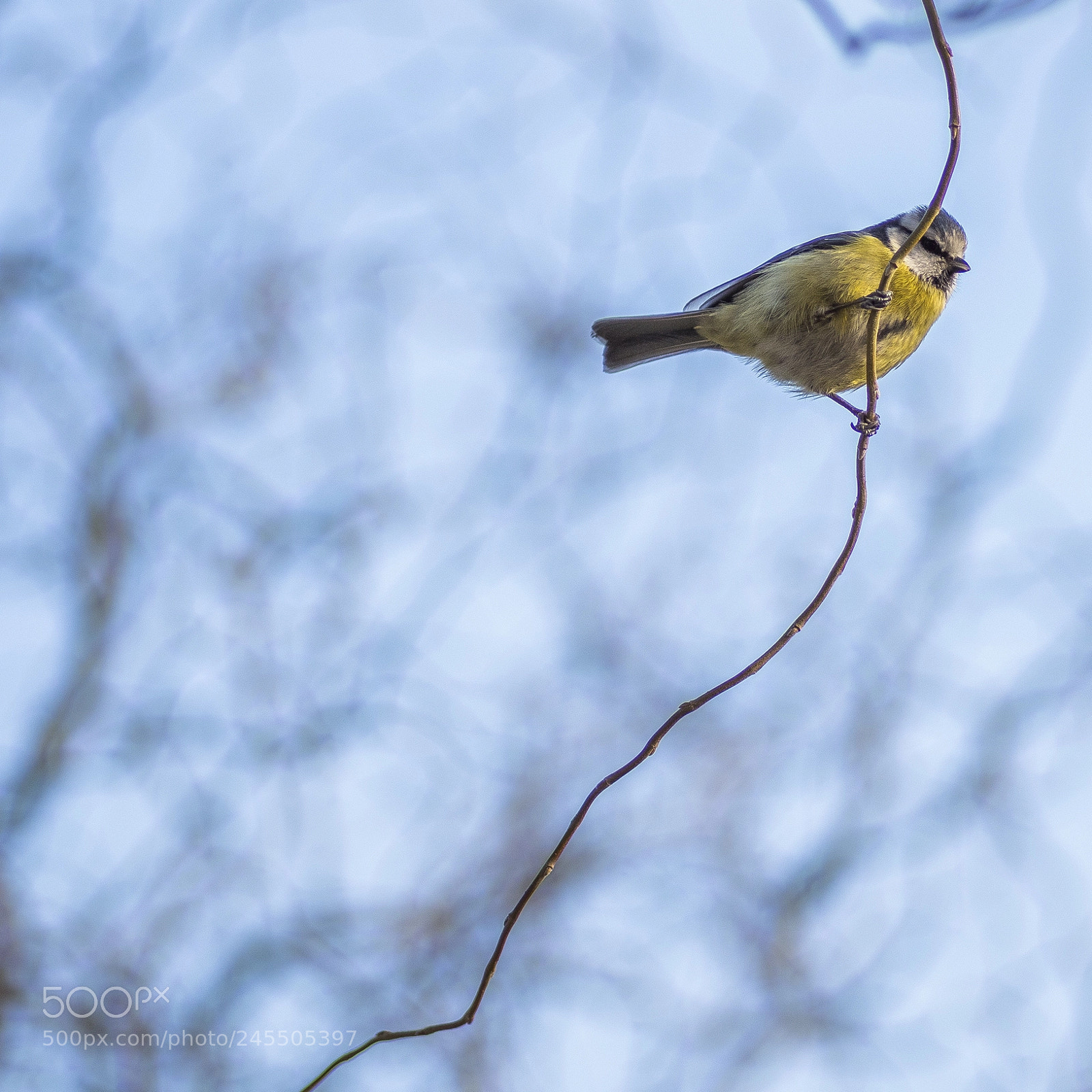 Pentax K-1 sample photo. Early bird photography