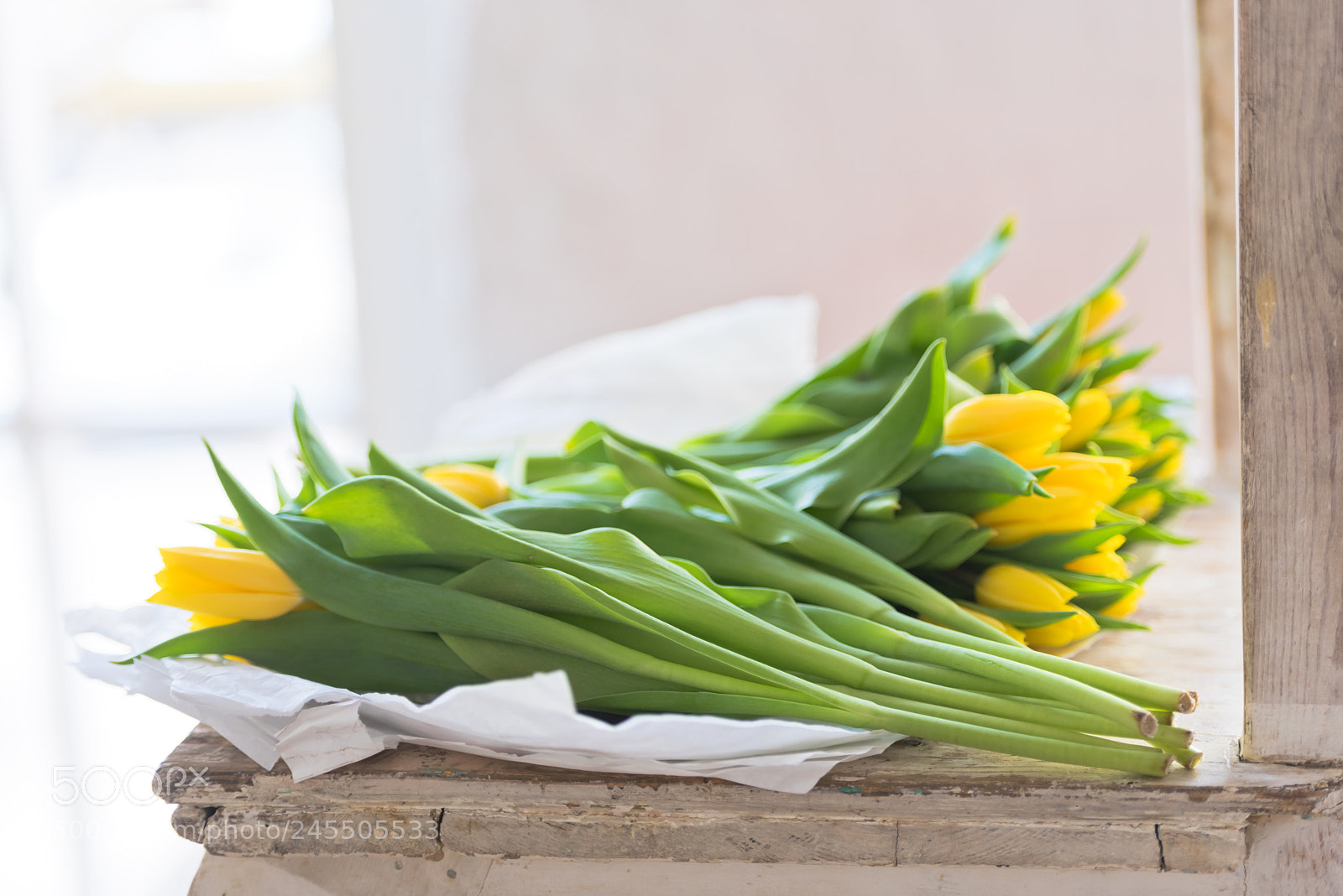 Nikon D810 sample photo. Yellow tulips flowers bouquet photography