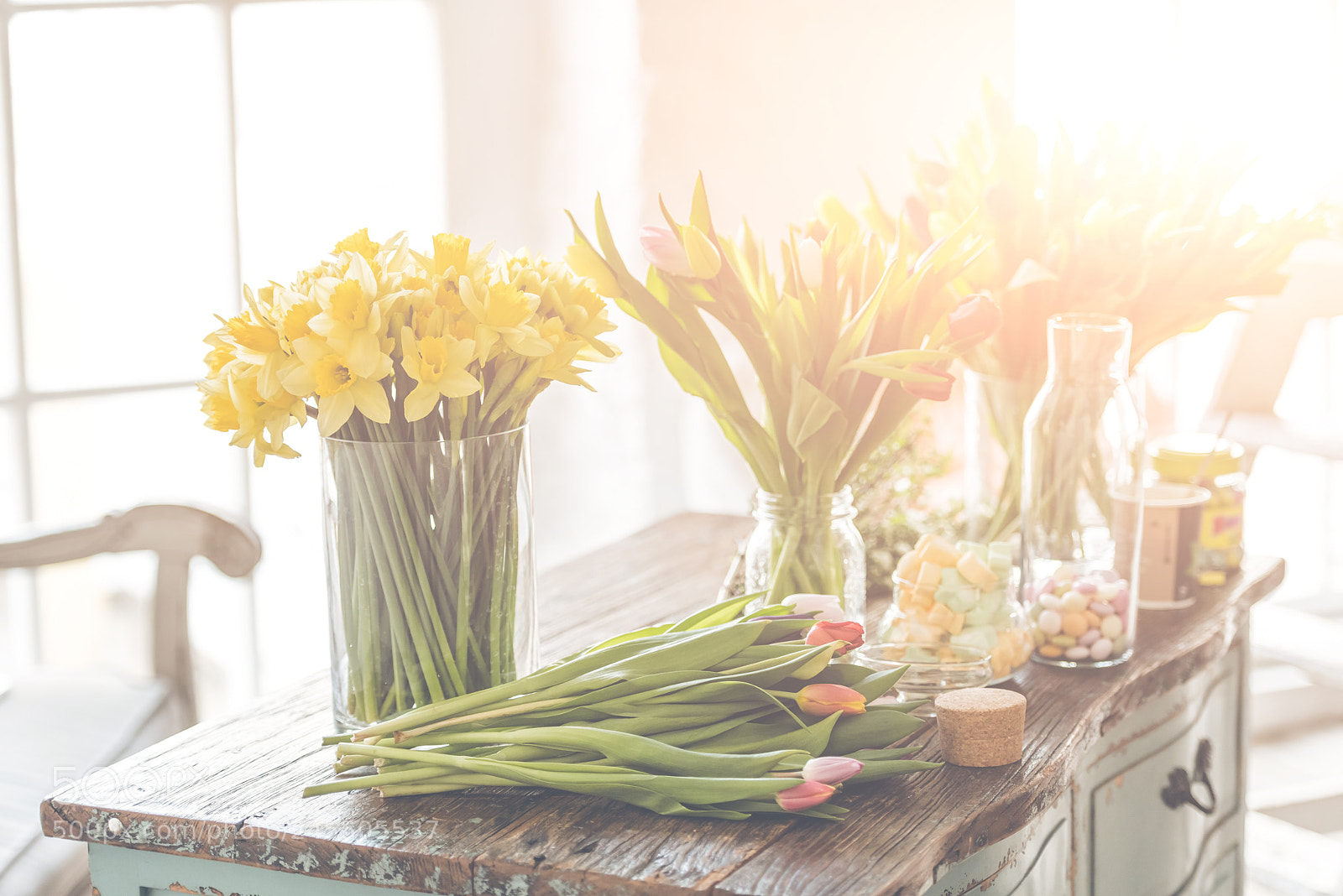 Nikon D810 sample photo. Spring flowers on a photography