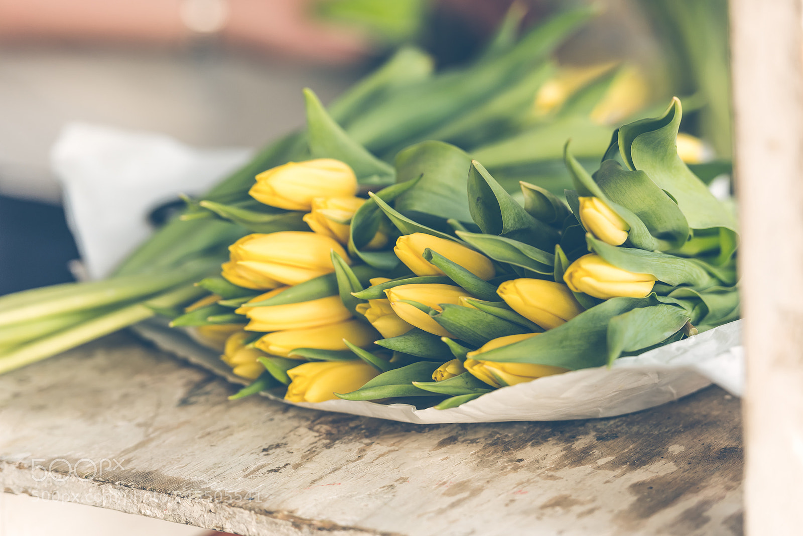 Nikon D810 sample photo. Yellow tulips flowers bouquet photography