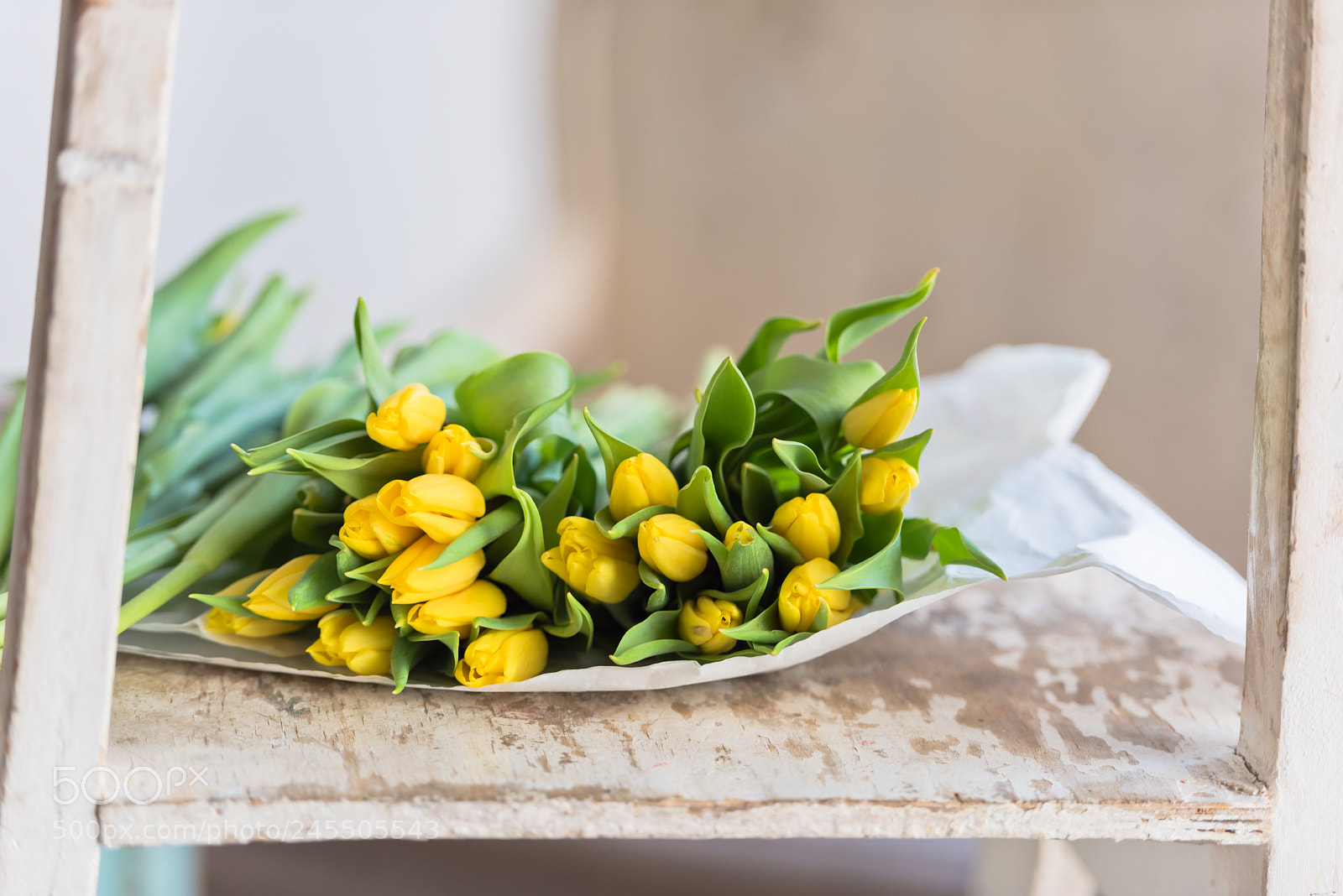Nikon D810 sample photo. Yellow tulips flowers bouquet photography