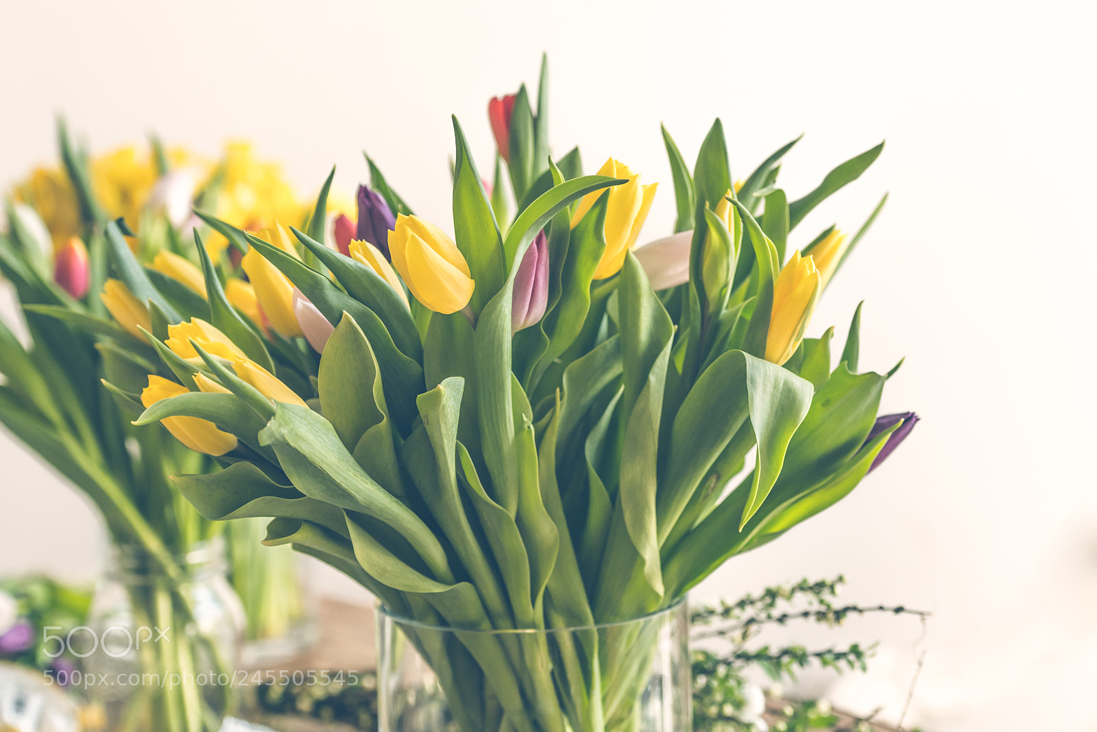 Nikon D810 sample photo. Multicolored tulips flowers bouquet photography