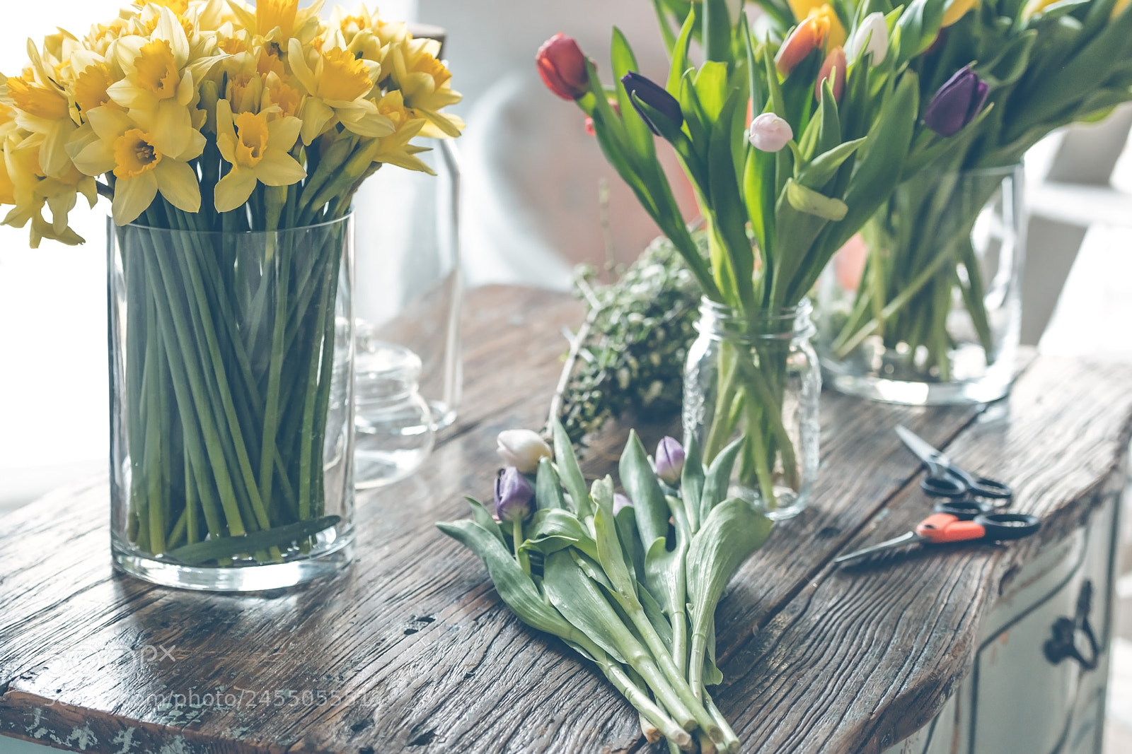Nikon D810 sample photo. Spring flowers on a photography