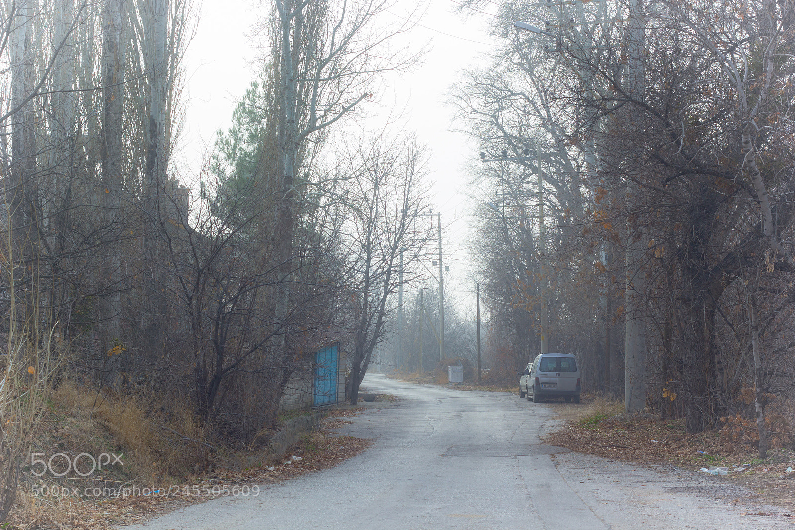 Canon EOS 60D sample photo. Foggy way photography