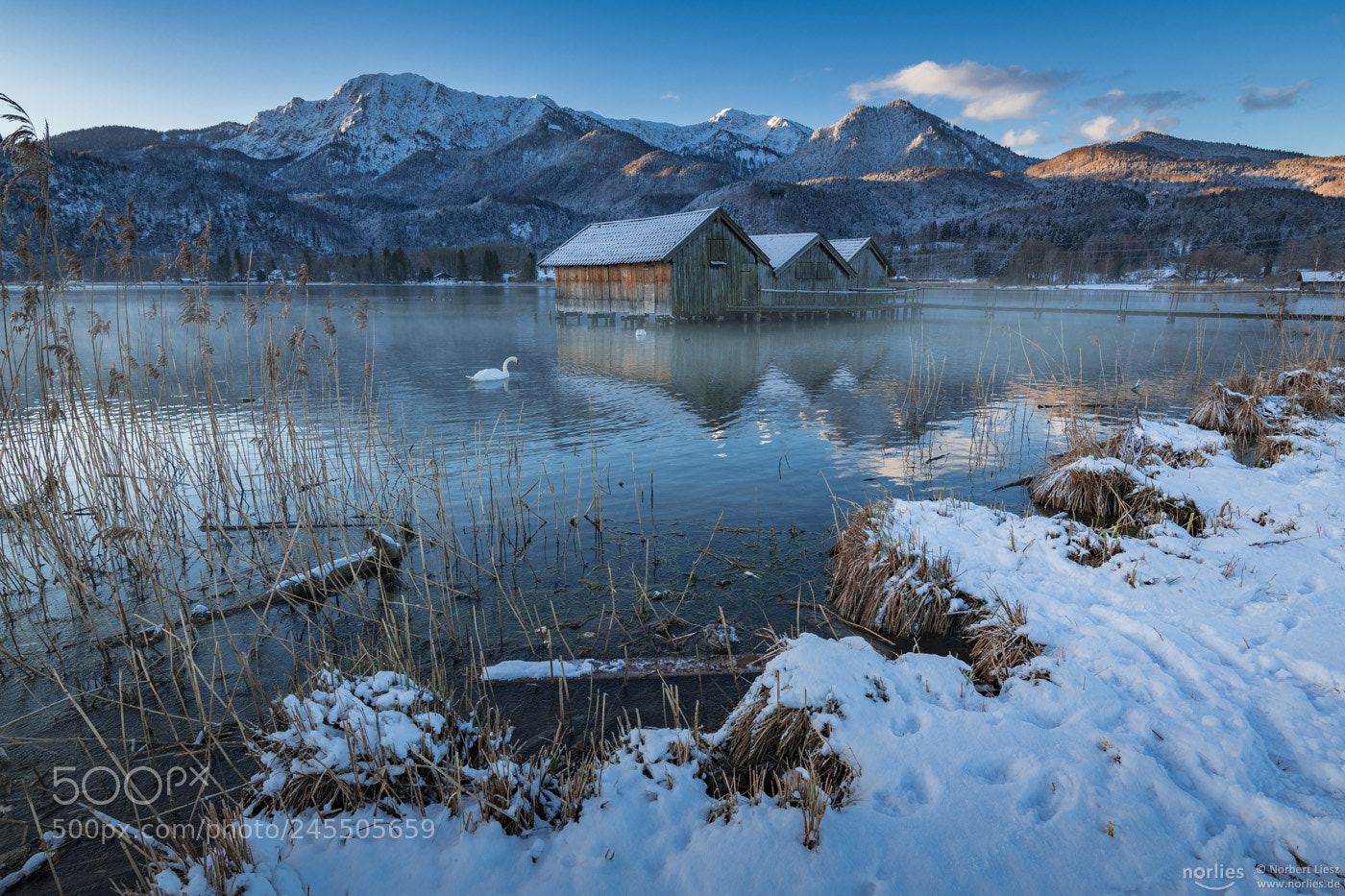 Nikon D850 sample photo. Cold morning photography