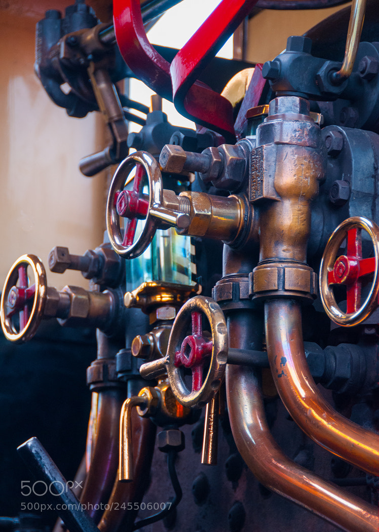 Nikon D300 sample photo. Engine controls photography
