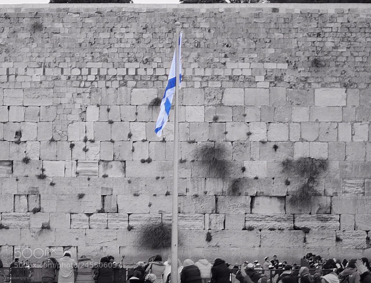 Nikon D300 sample photo. Wailing wall - jerusalem photography