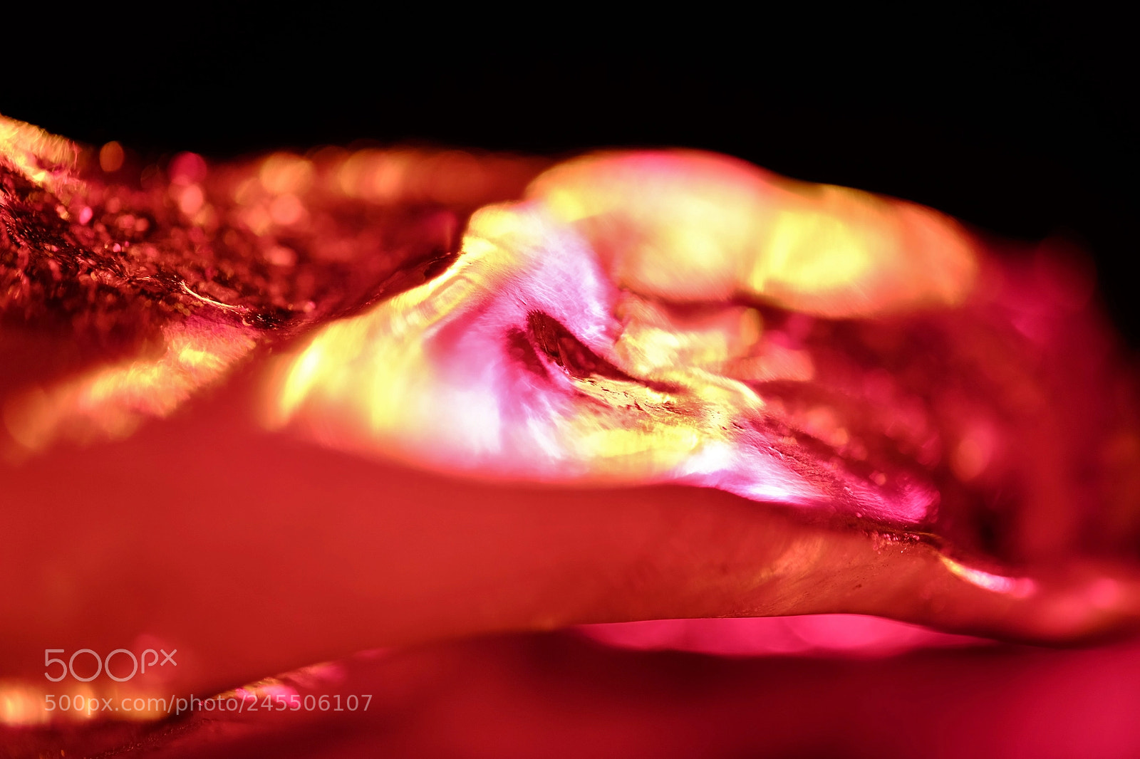 Fujifilm X-T10 sample photo. Flame of ice photography