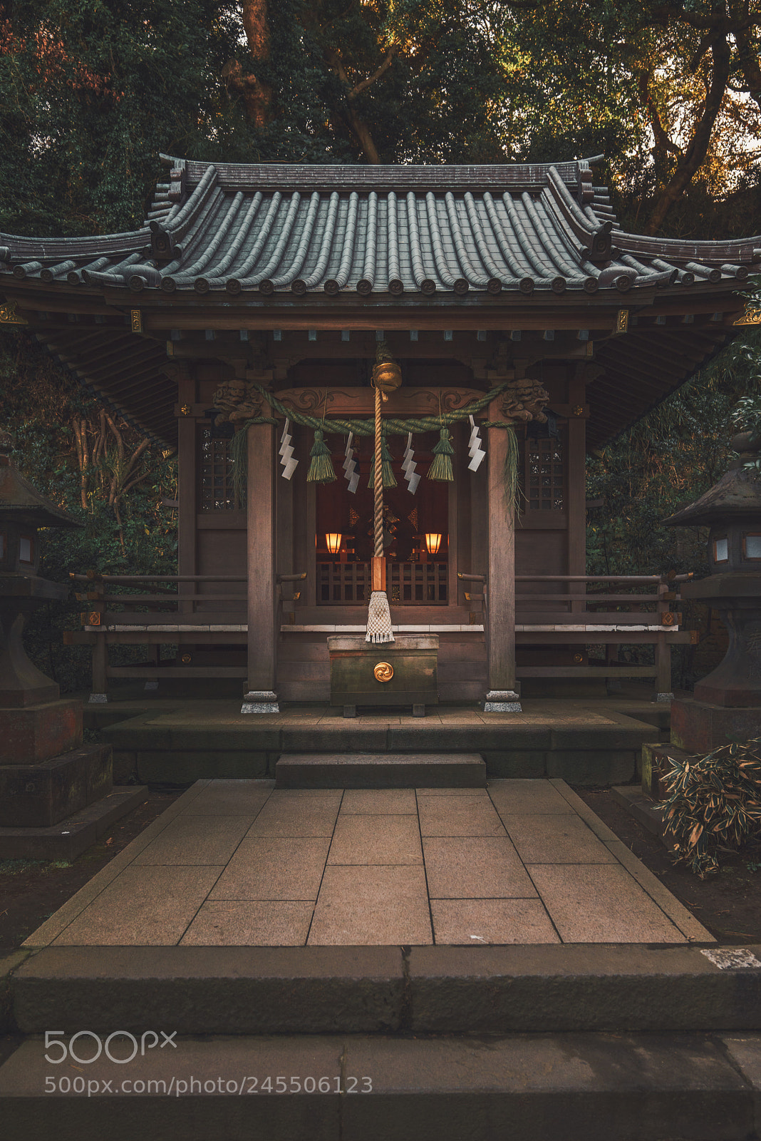 Sony a7R sample photo. Untitled photography