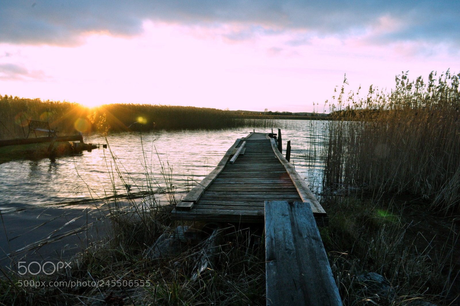 Nikon D5000 sample photo. Swedish summer photography