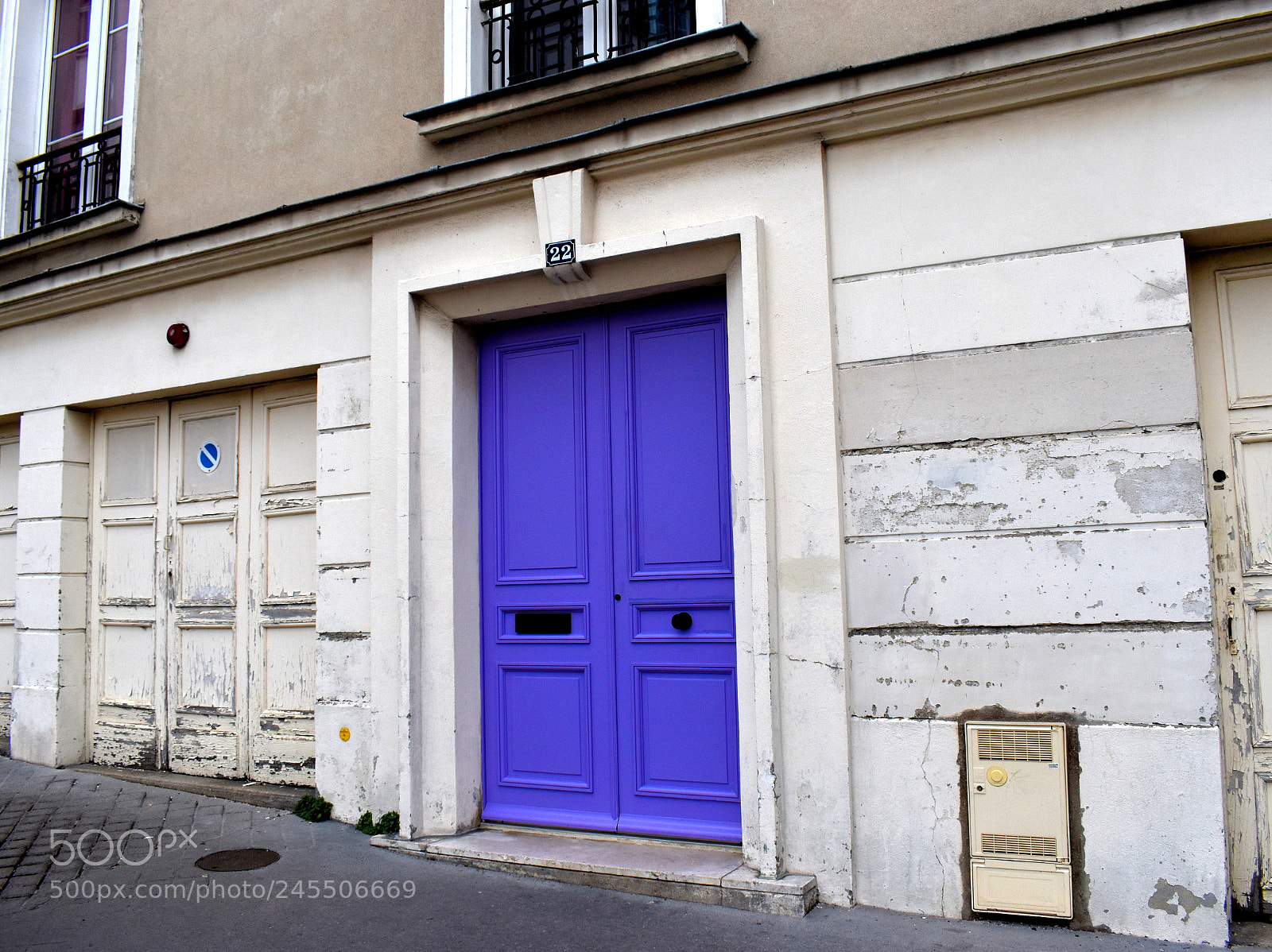 Nikon D5600 sample photo. What's behind the purple photography