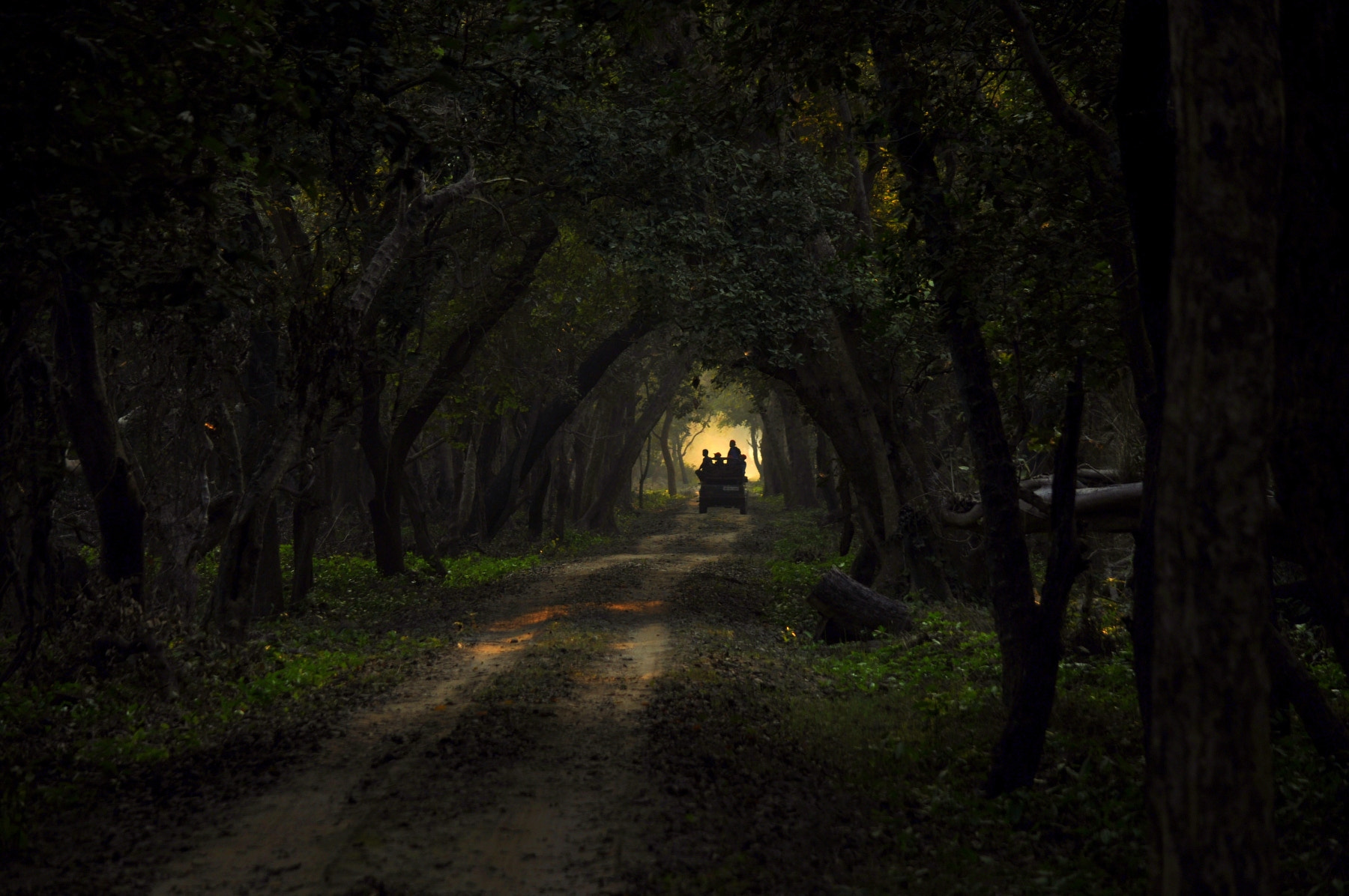 Nikon D90 sample photo. Nature's own painting photography