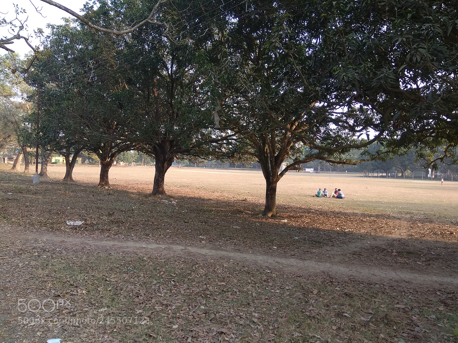 Xiaomi Redmi Note 4 sample photo. Winter afternoon photography