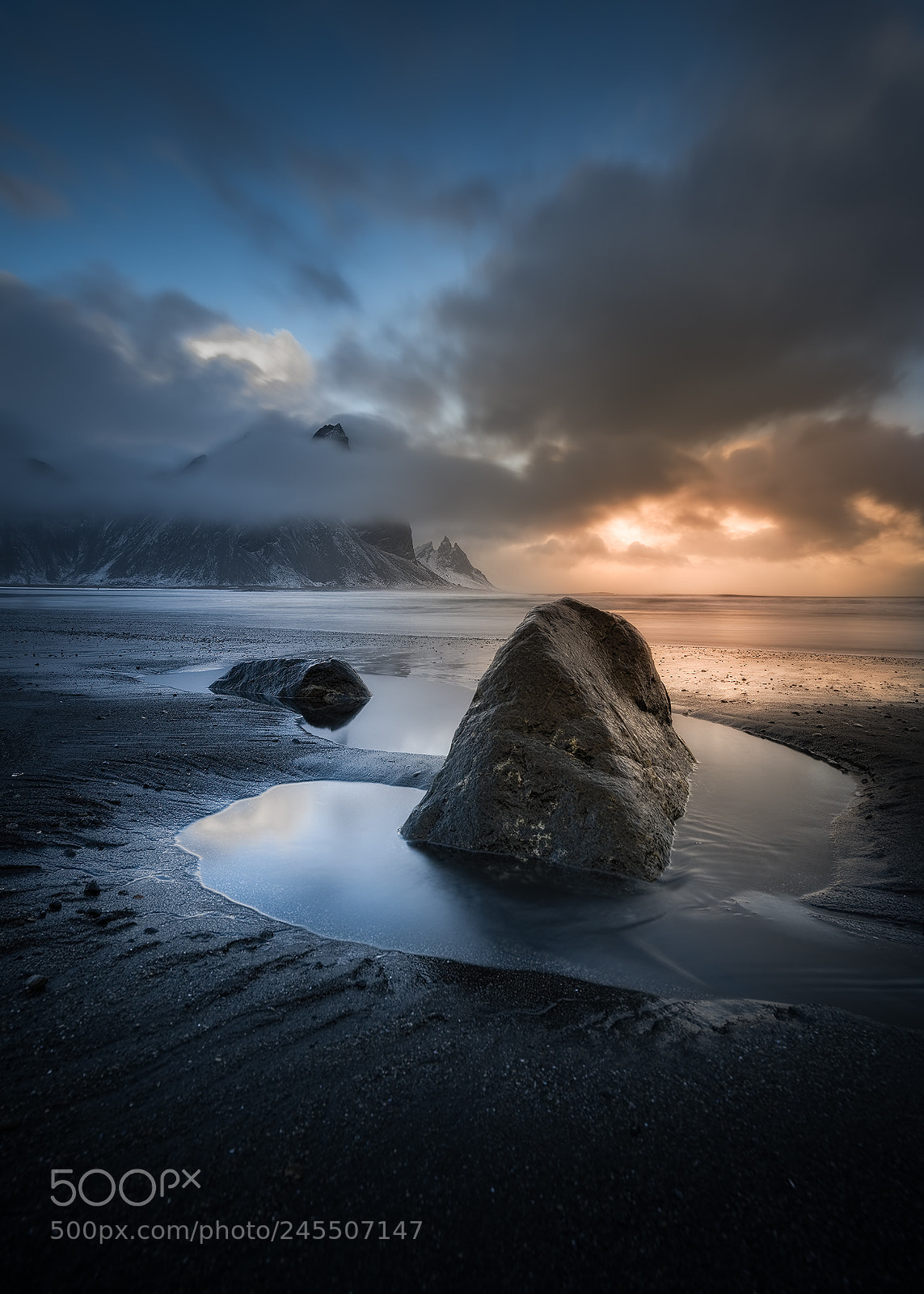 Nikon D810 sample photo. Standing ground photography