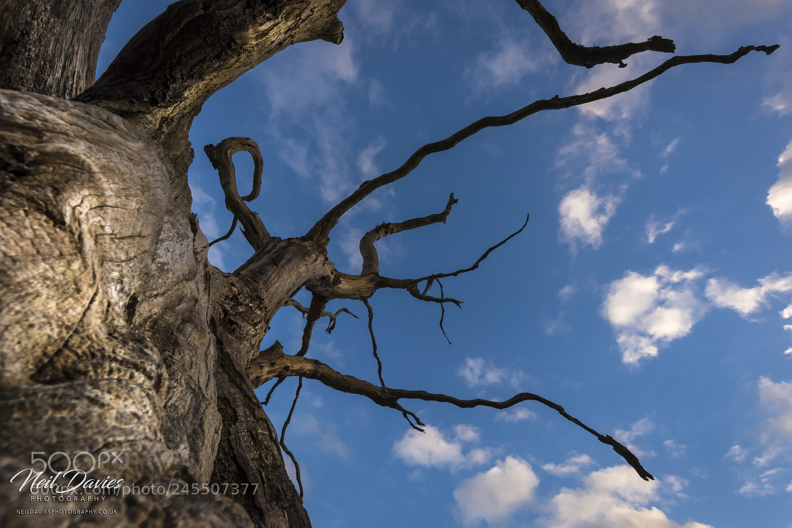 Nikon D810 sample photo. Untitled photography