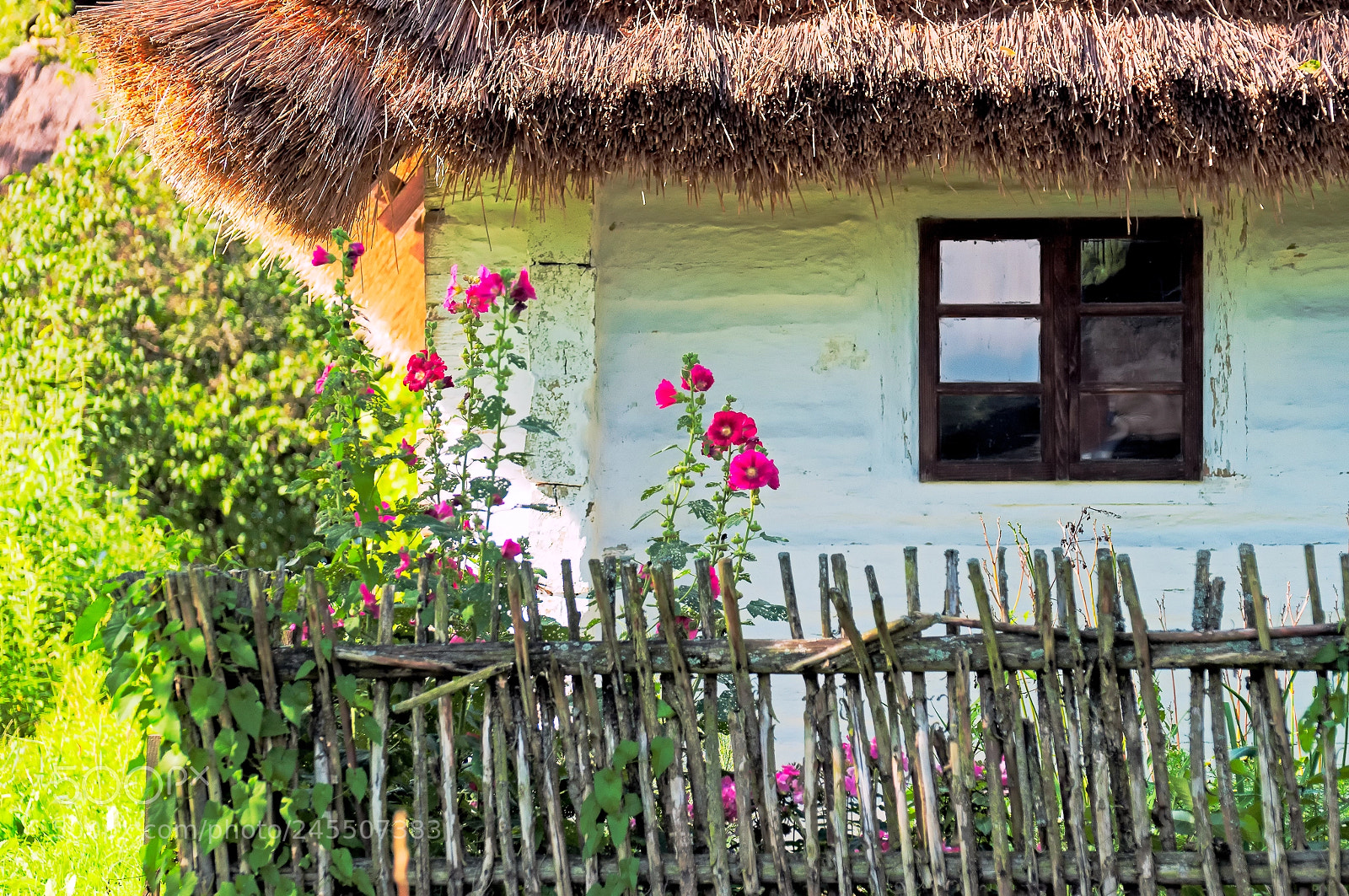 Nikon D300 sample photo. Old hut in open-air photography