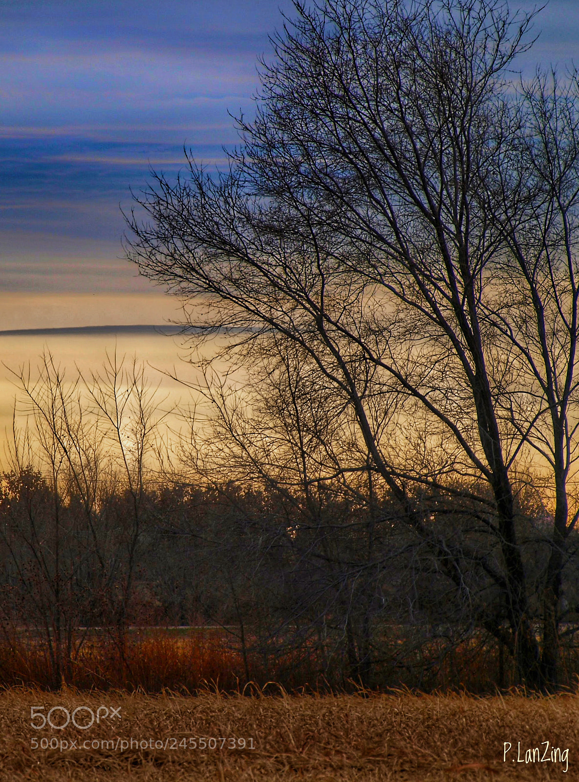 Olympus E-3 sample photo. Morning colors, new mexico photography