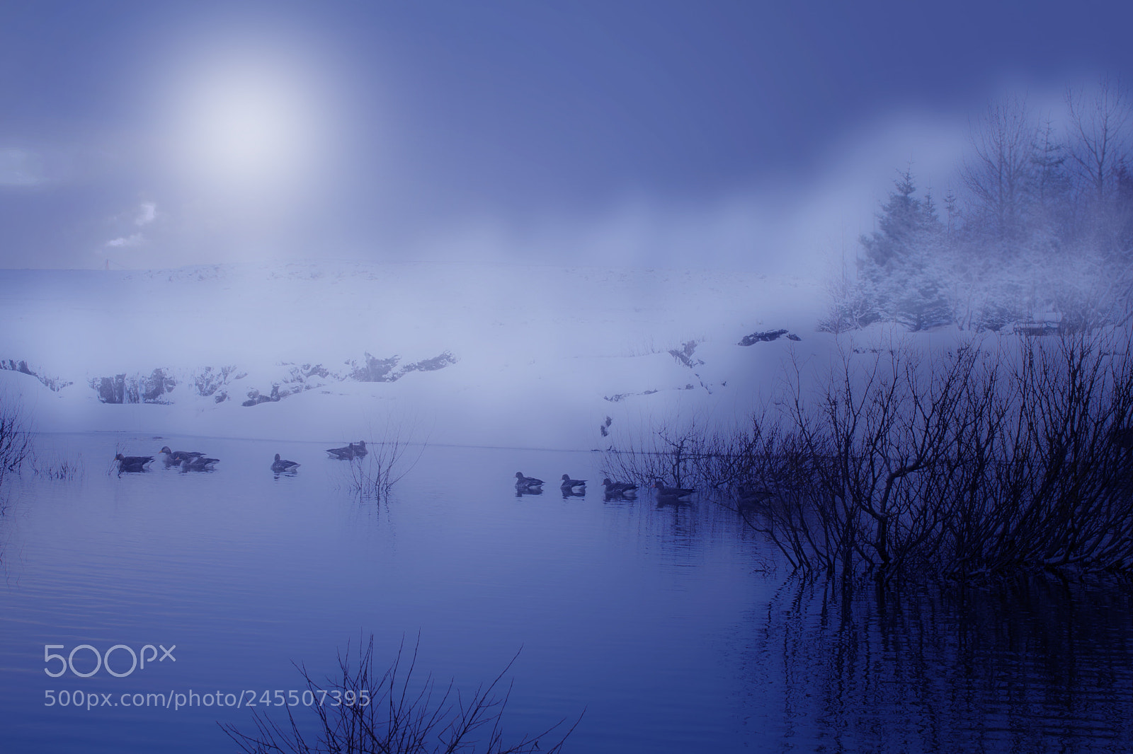 Canon EOS 1000D (EOS Digital Rebel XS / EOS Kiss F) sample photo. Gooses on lake photography