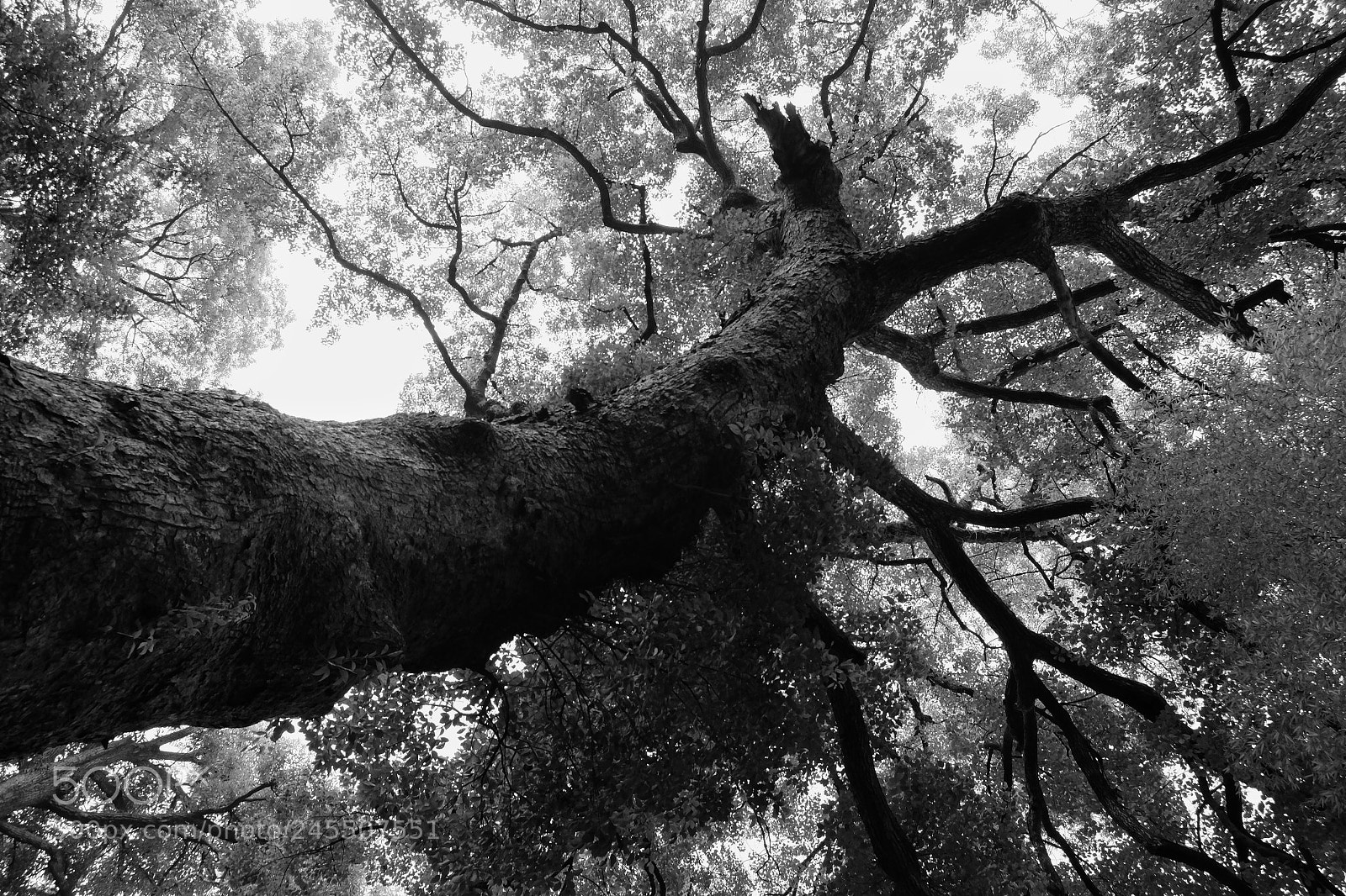 Fujifilm X-T1 sample photo. Untitled photography