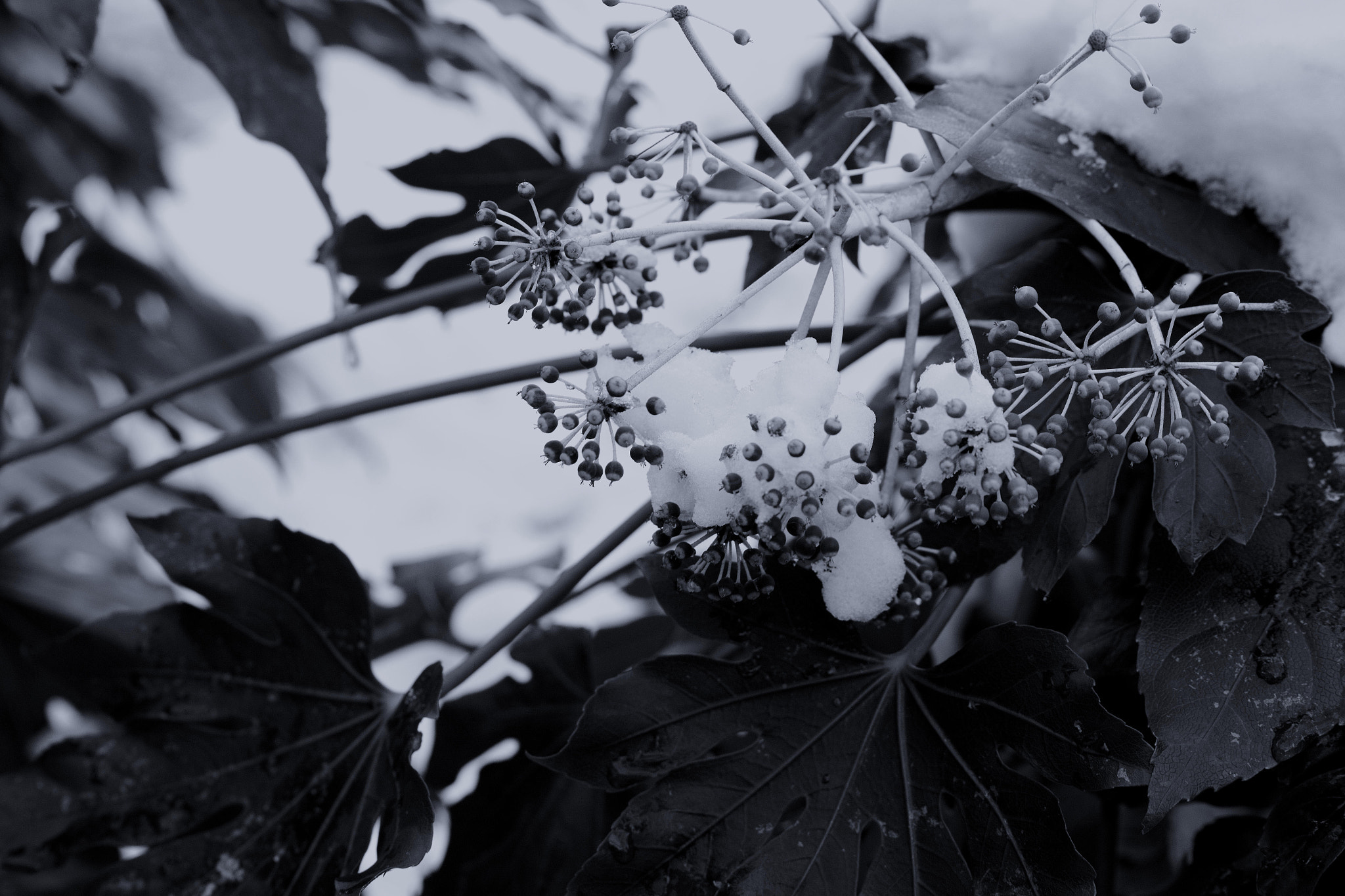 Sigma dp3 Quattro sample photo. Suite photography