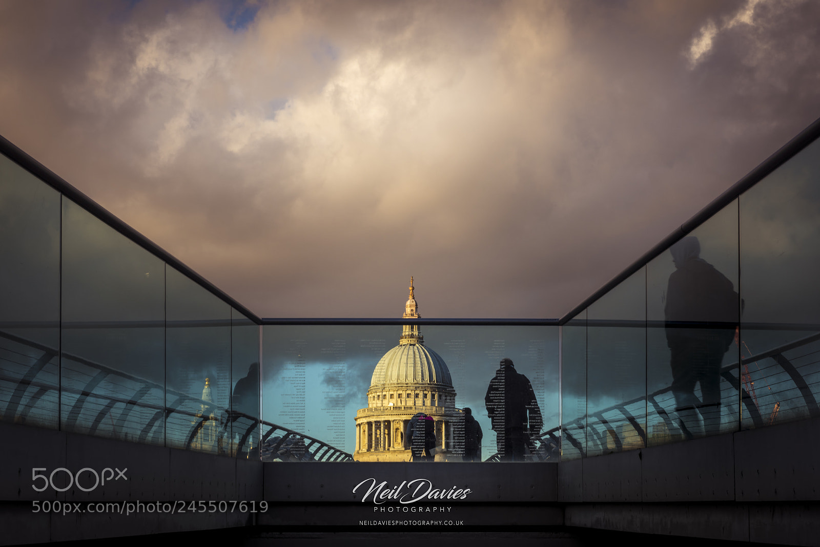 Nikon D810 sample photo. Untitled photography