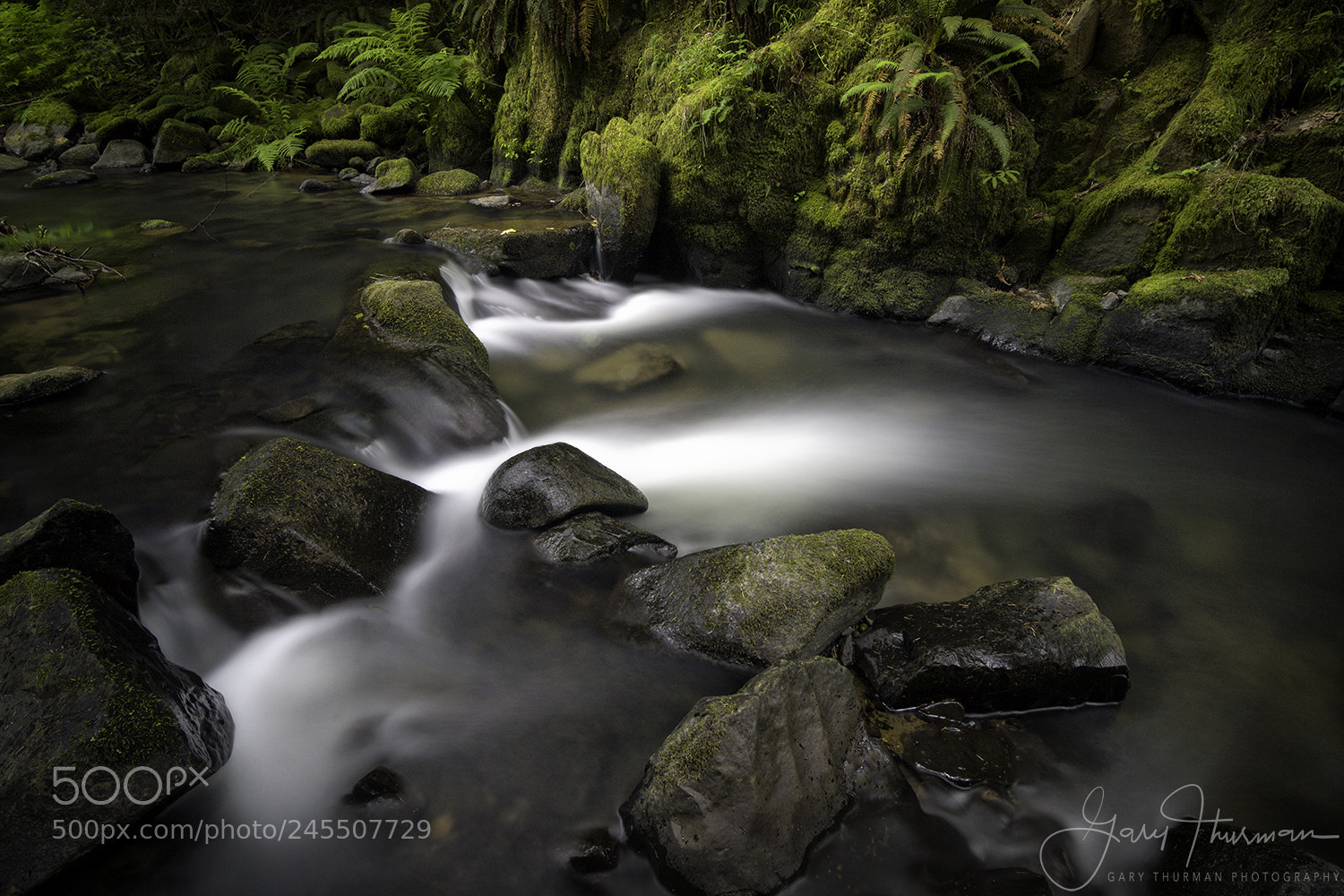 Canon EOS 7D Mark II sample photo. Baker creek beauty photography