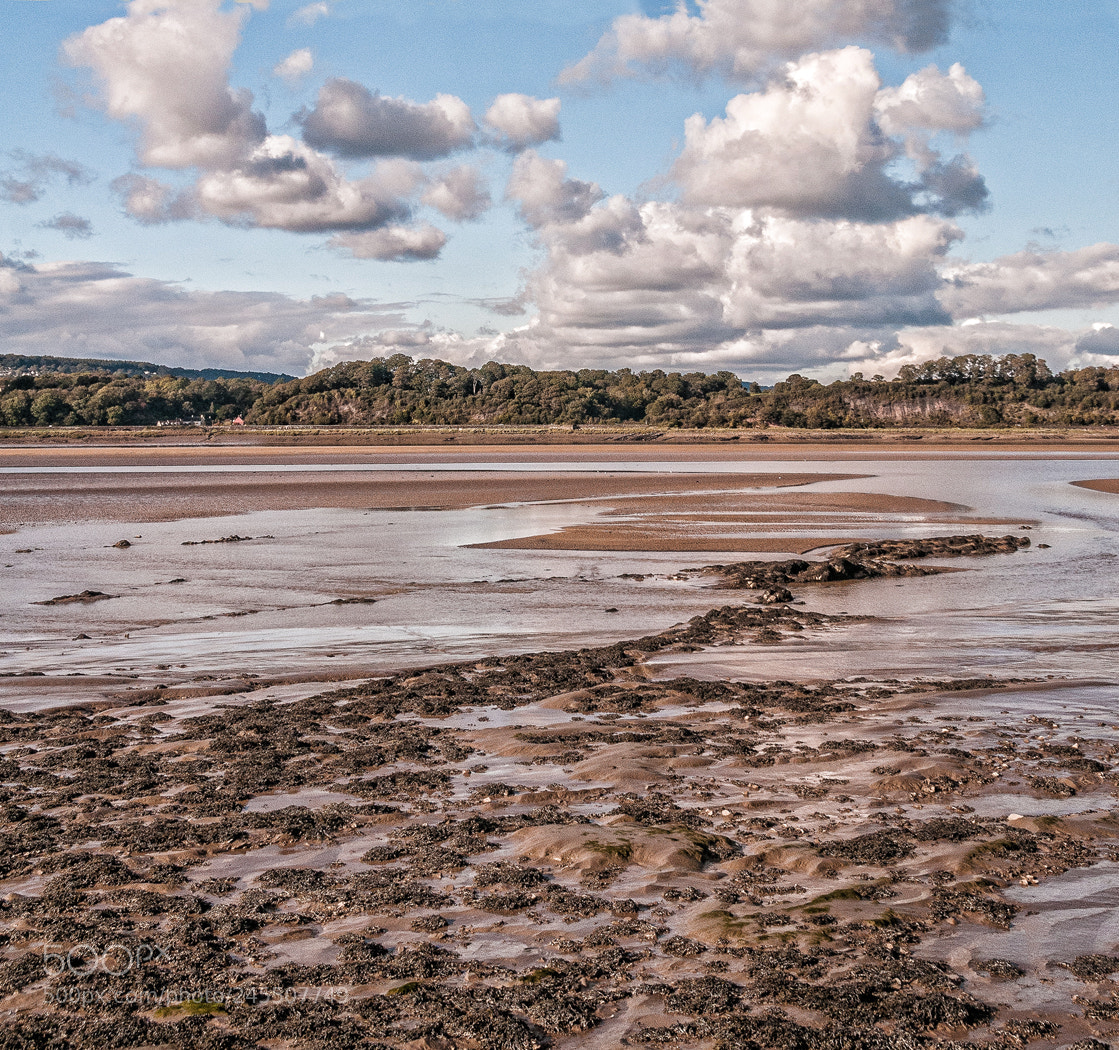 Nikon D300 sample photo. Low tide at purton photography