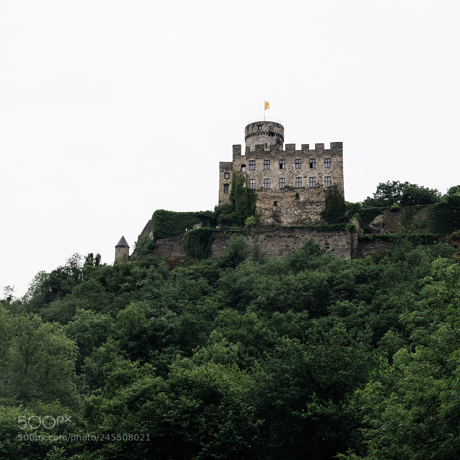 Sony SLT-A58 sample photo. There are more than photography