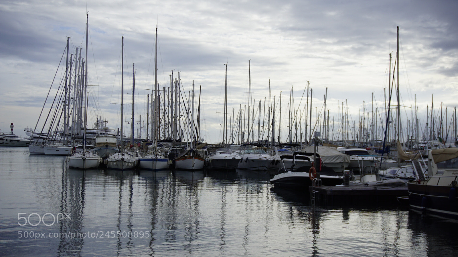 Sony a5100 sample photo. Untitled photography