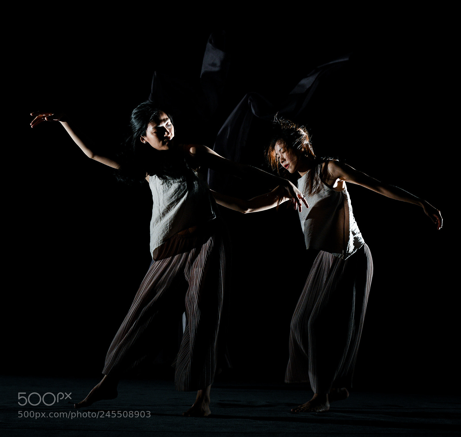 Nikon D850 sample photo. The dancers photography